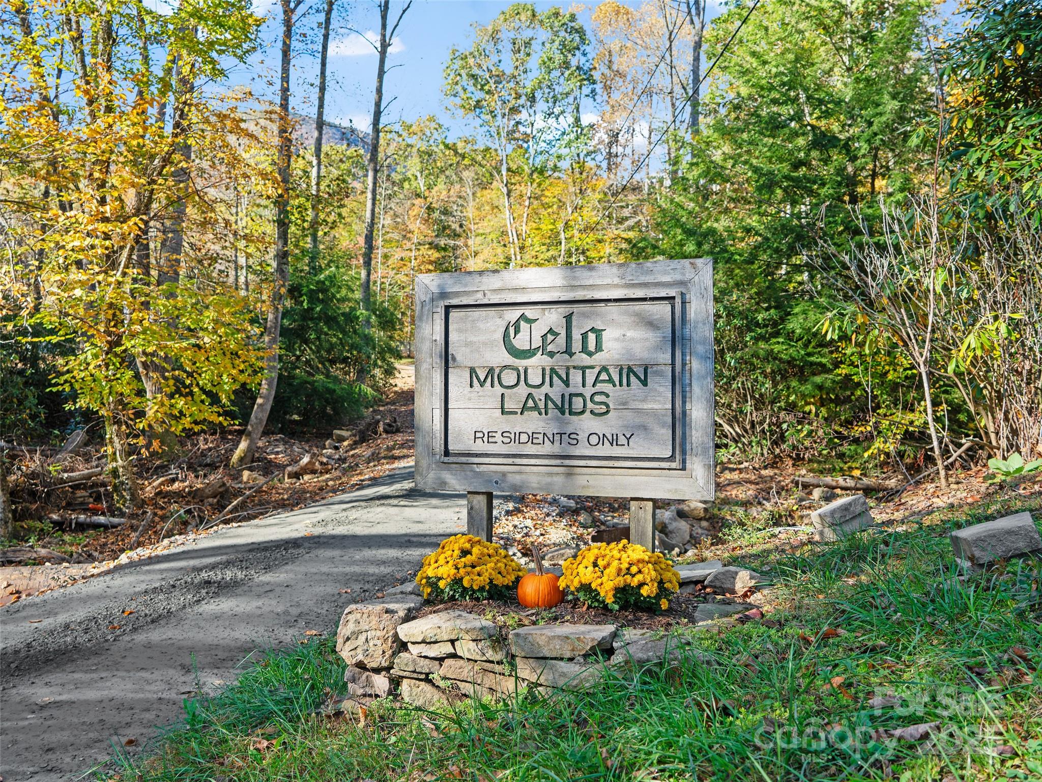 The Cove at Celo Mountain - Land