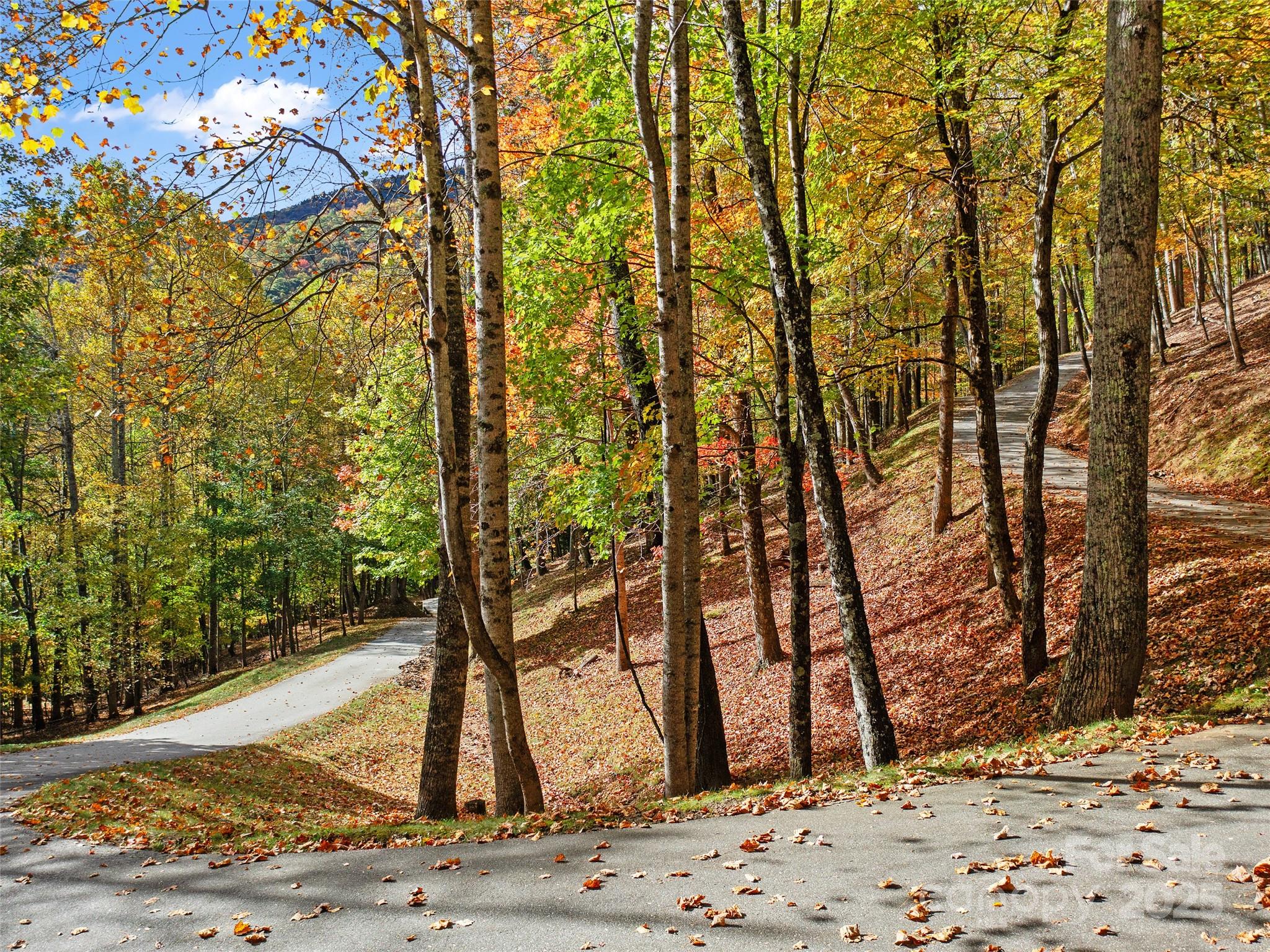 The Cove at Celo Mountain - Land