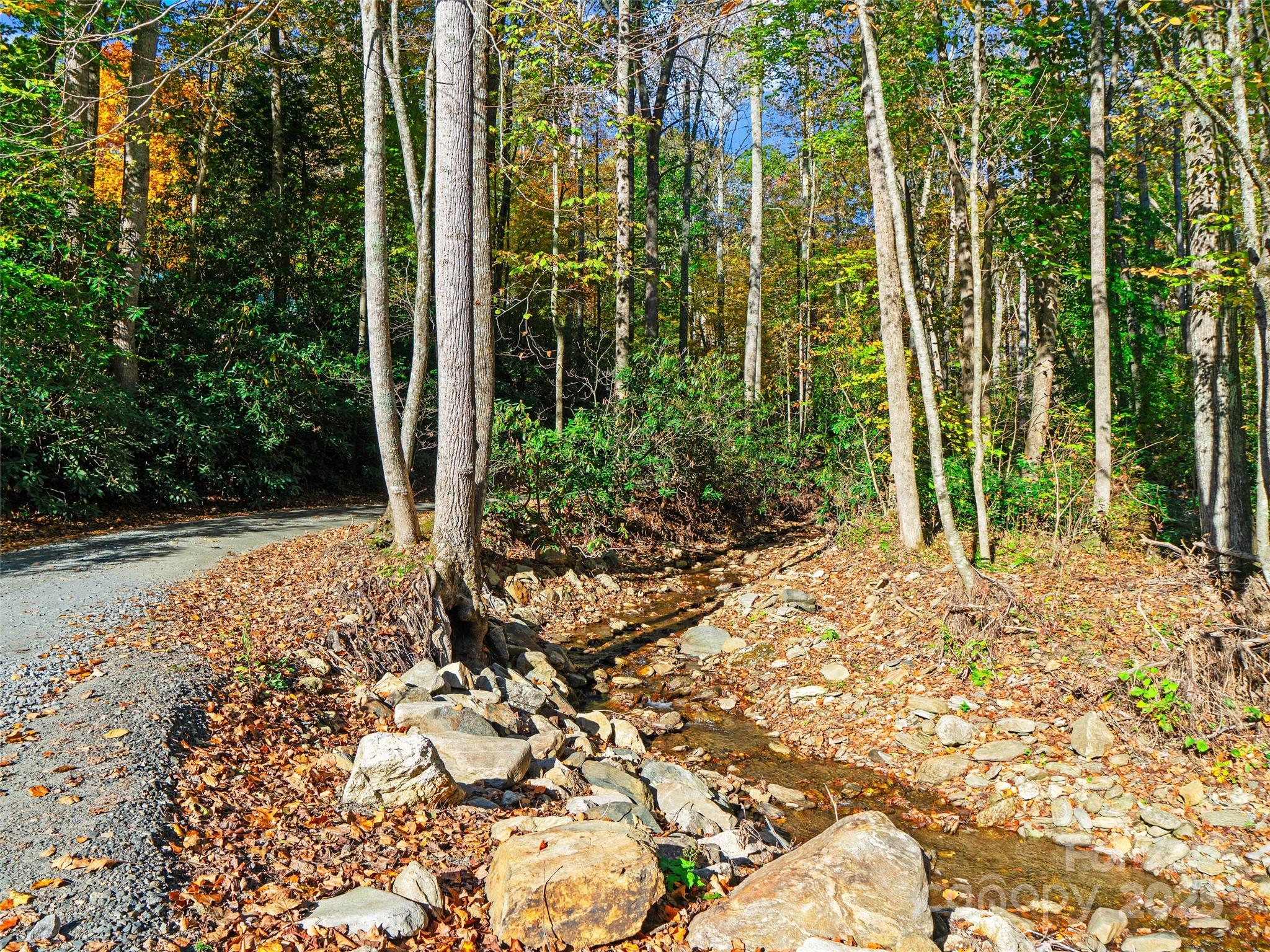 The Cove at Celo Mountain - Land