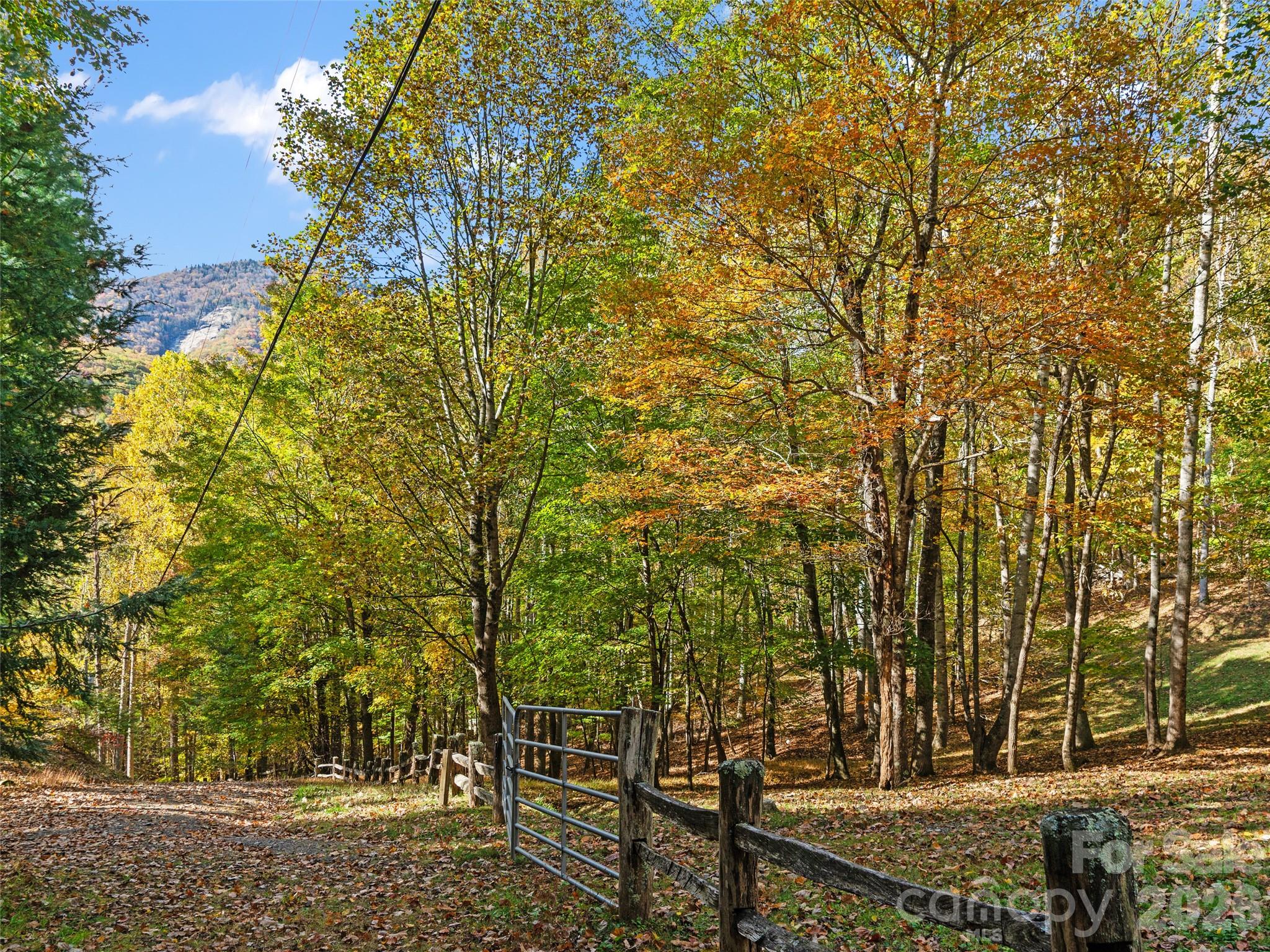 The Cove at Celo Mountain - Land