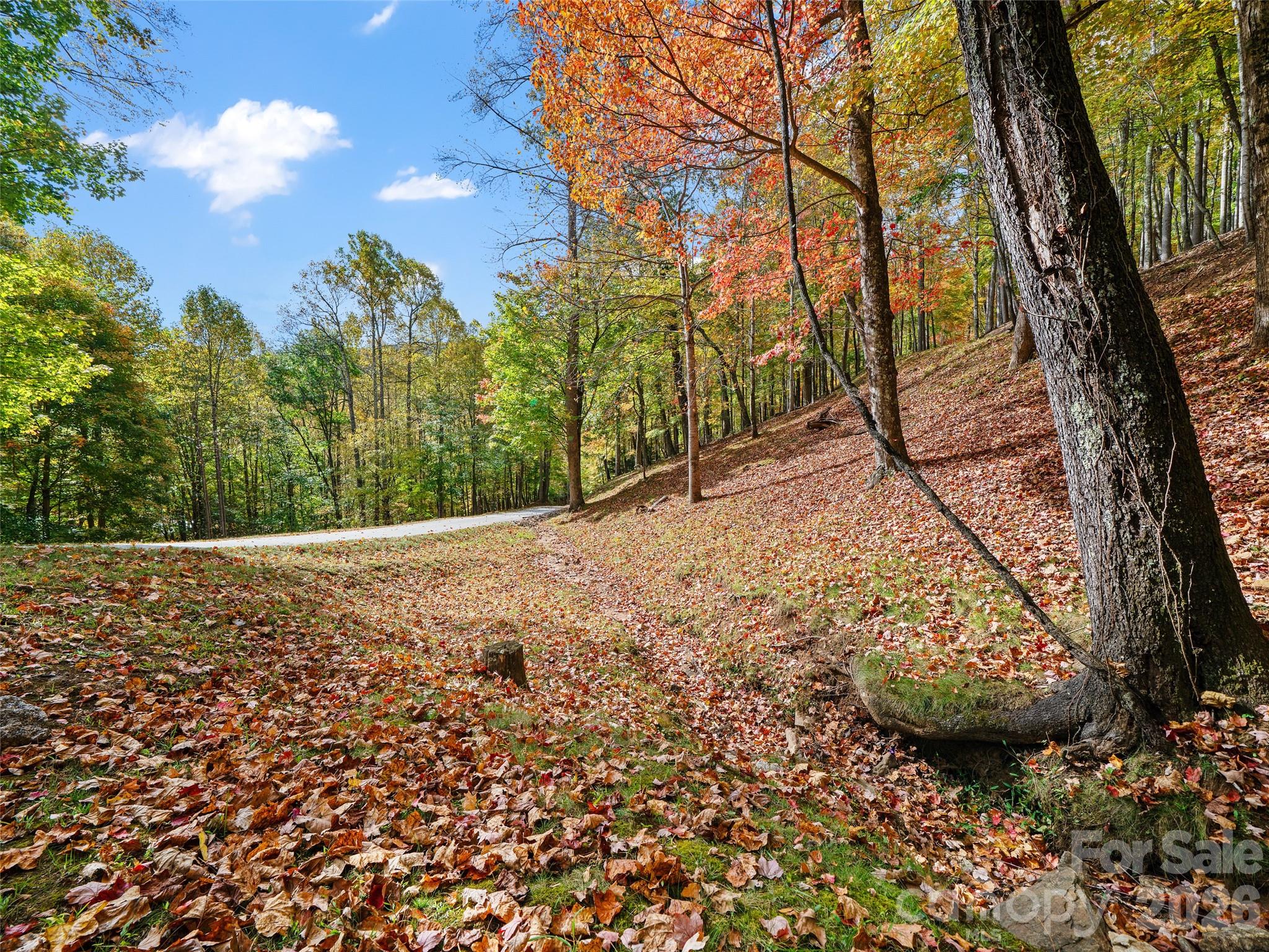 The Cove at Celo Mountain - Land