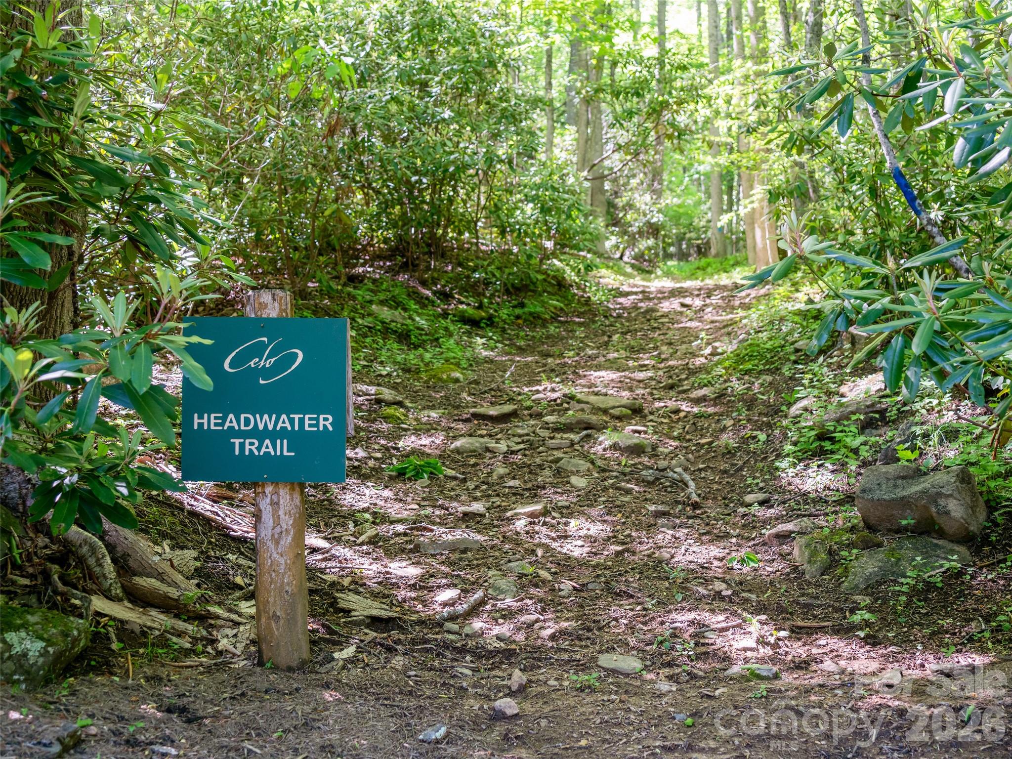 The Cove at Celo Mountain - Land