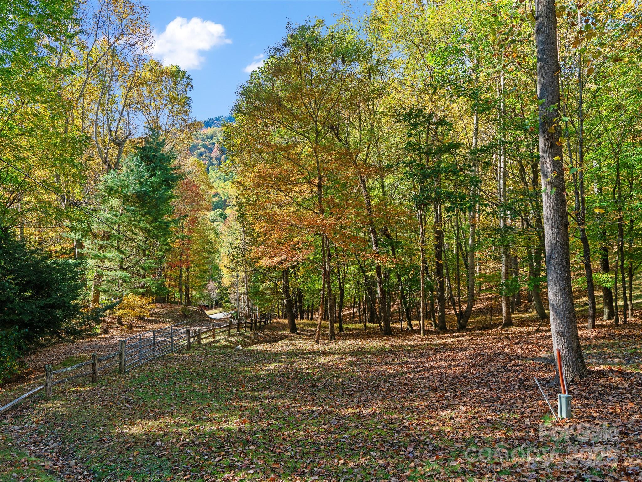 The Cove at Celo Mountain - Land