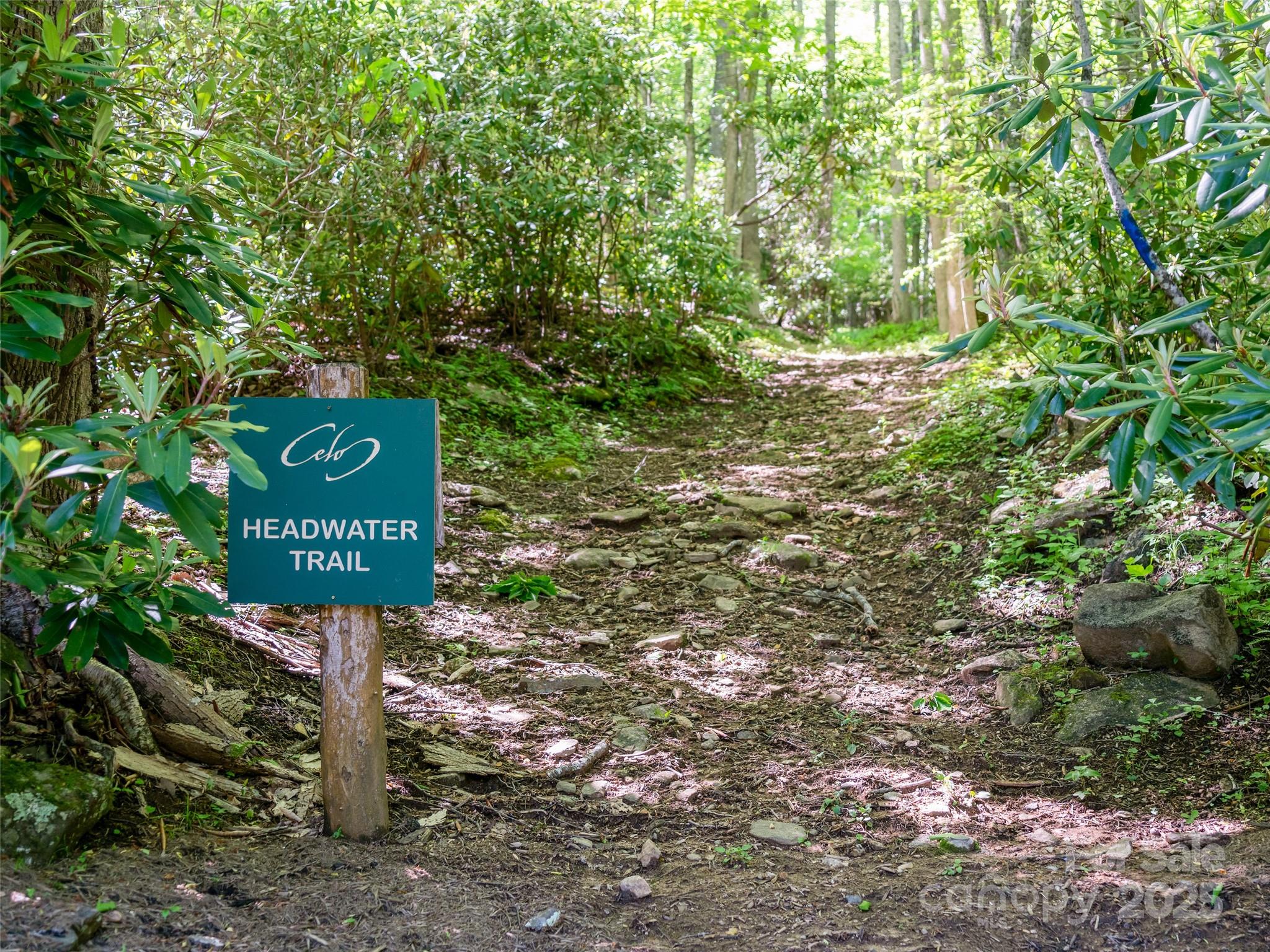 The Cove at Celo Mountain - Land