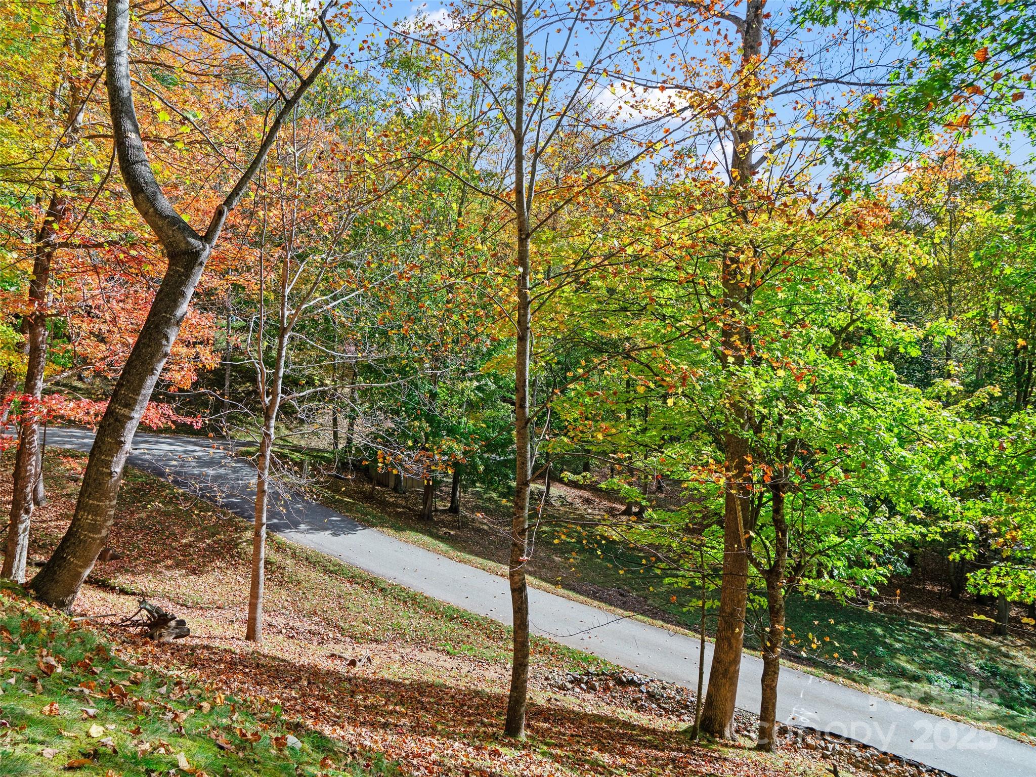 The Cove at Celo Mountain - Land