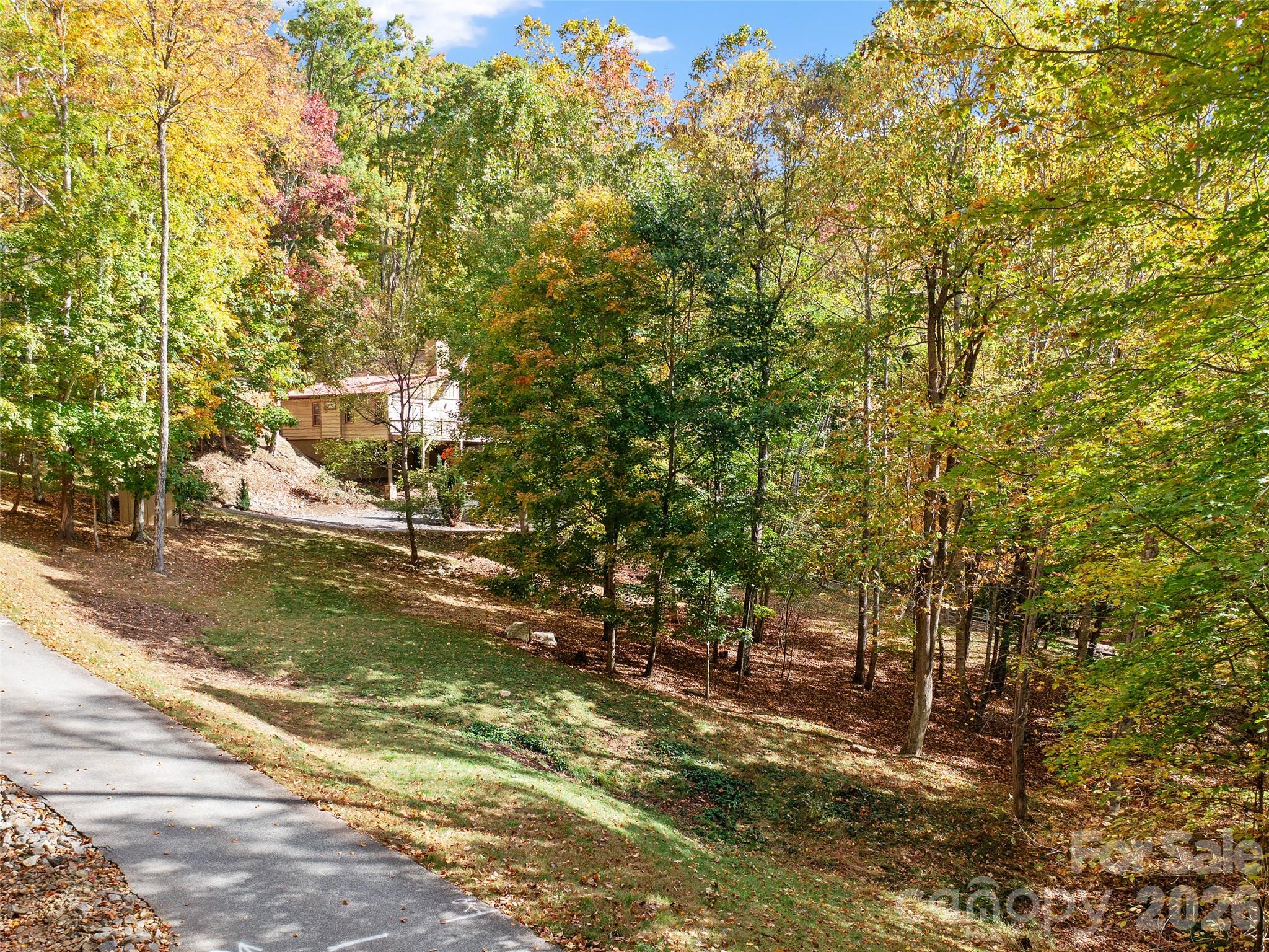 The Cove at Celo Mountain - Land