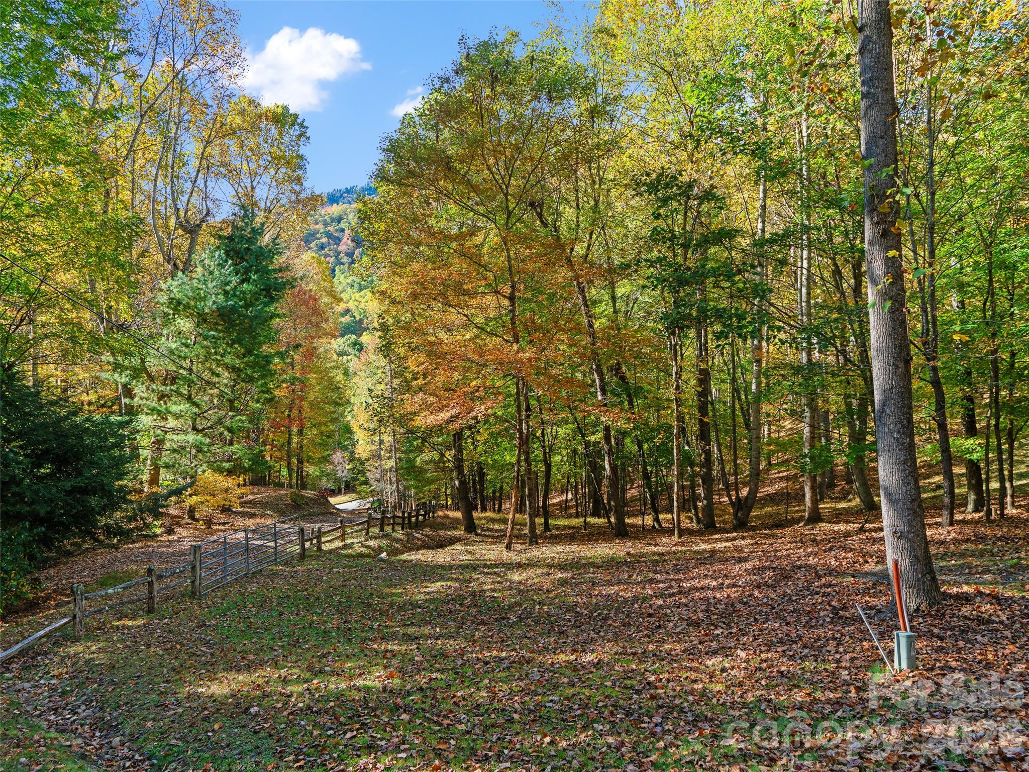 The Cove at Celo Mountain - Land