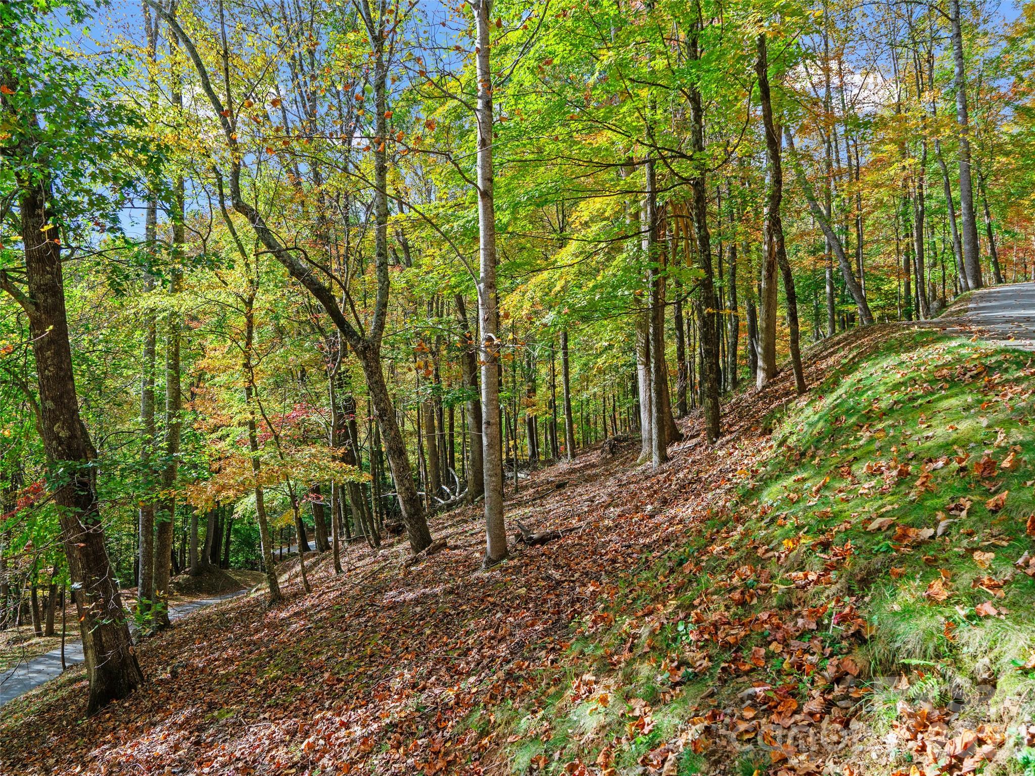 The Cove at Celo Mountain - Land