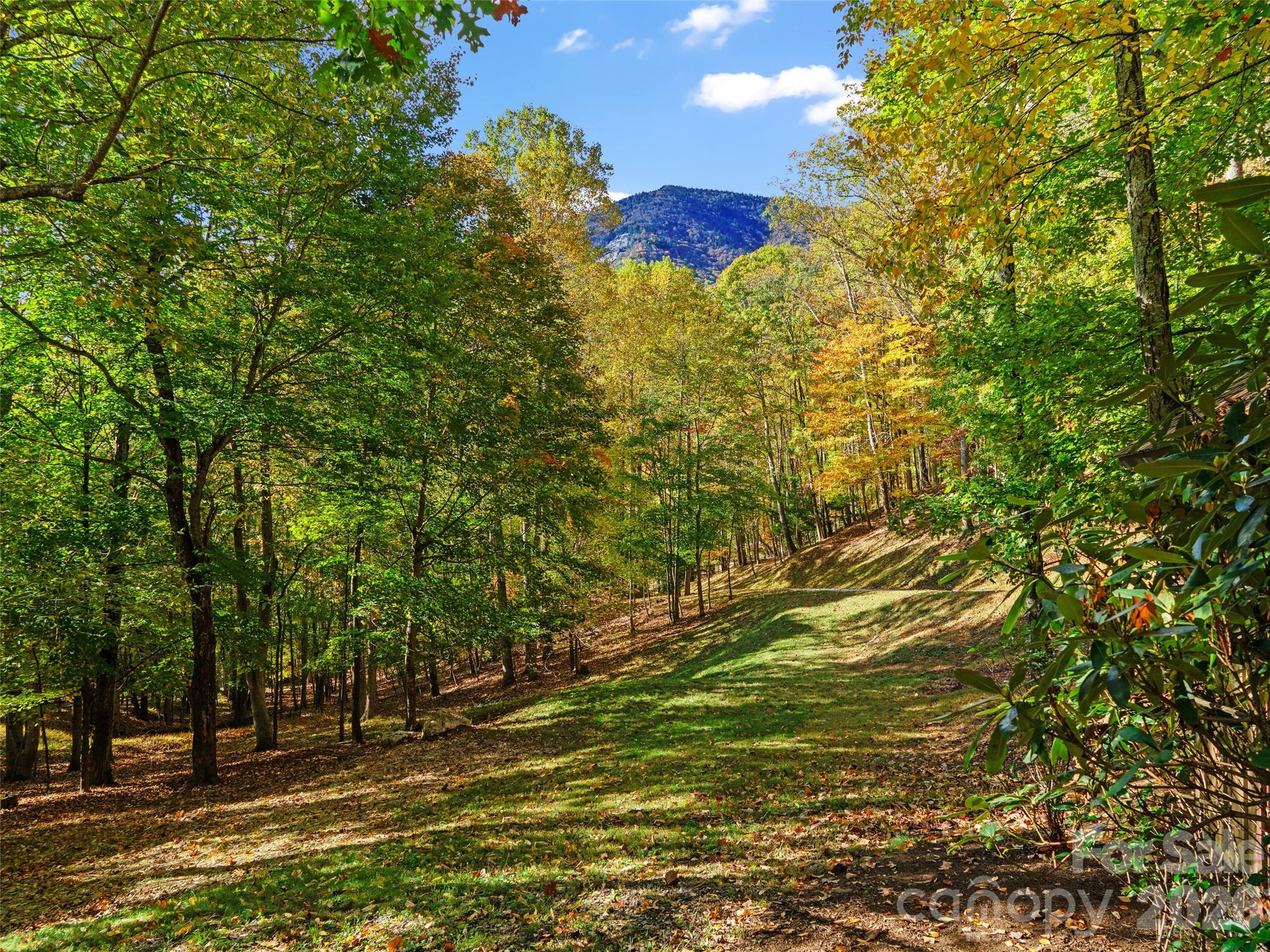 The Cove at Celo Mountain - Land