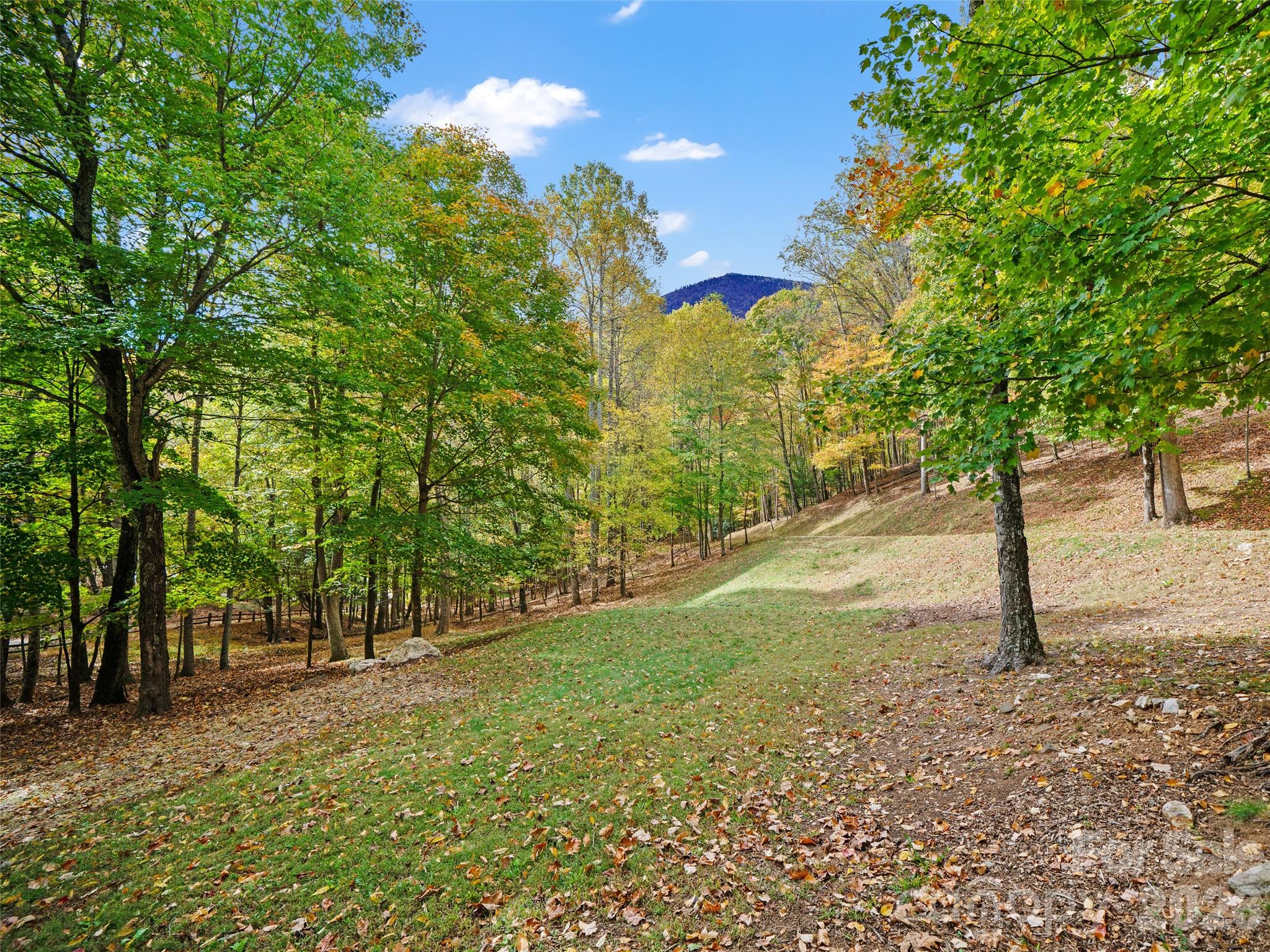 The Cove at Celo Mountain - Land