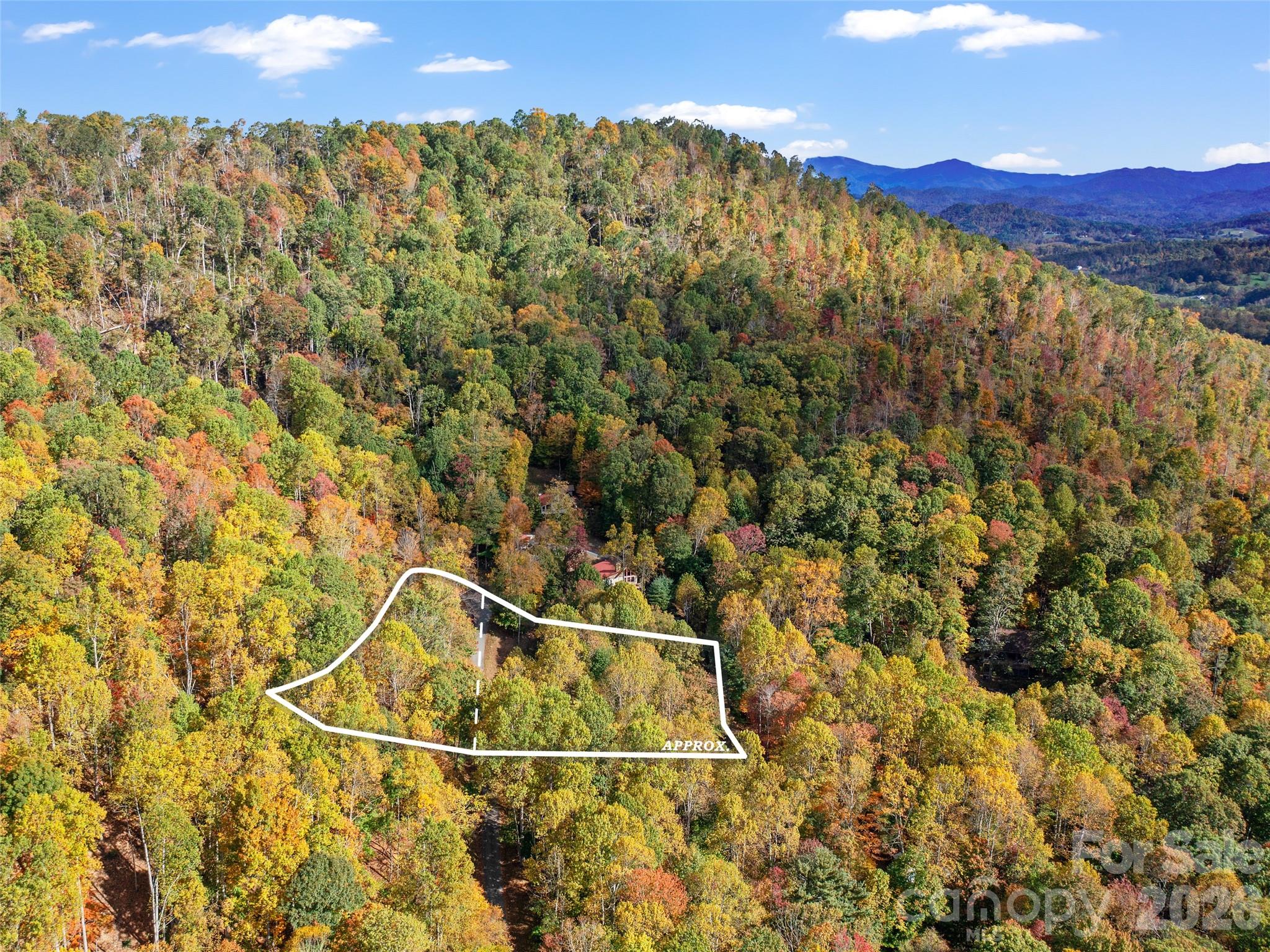The Cove at Celo Mountain - Land
