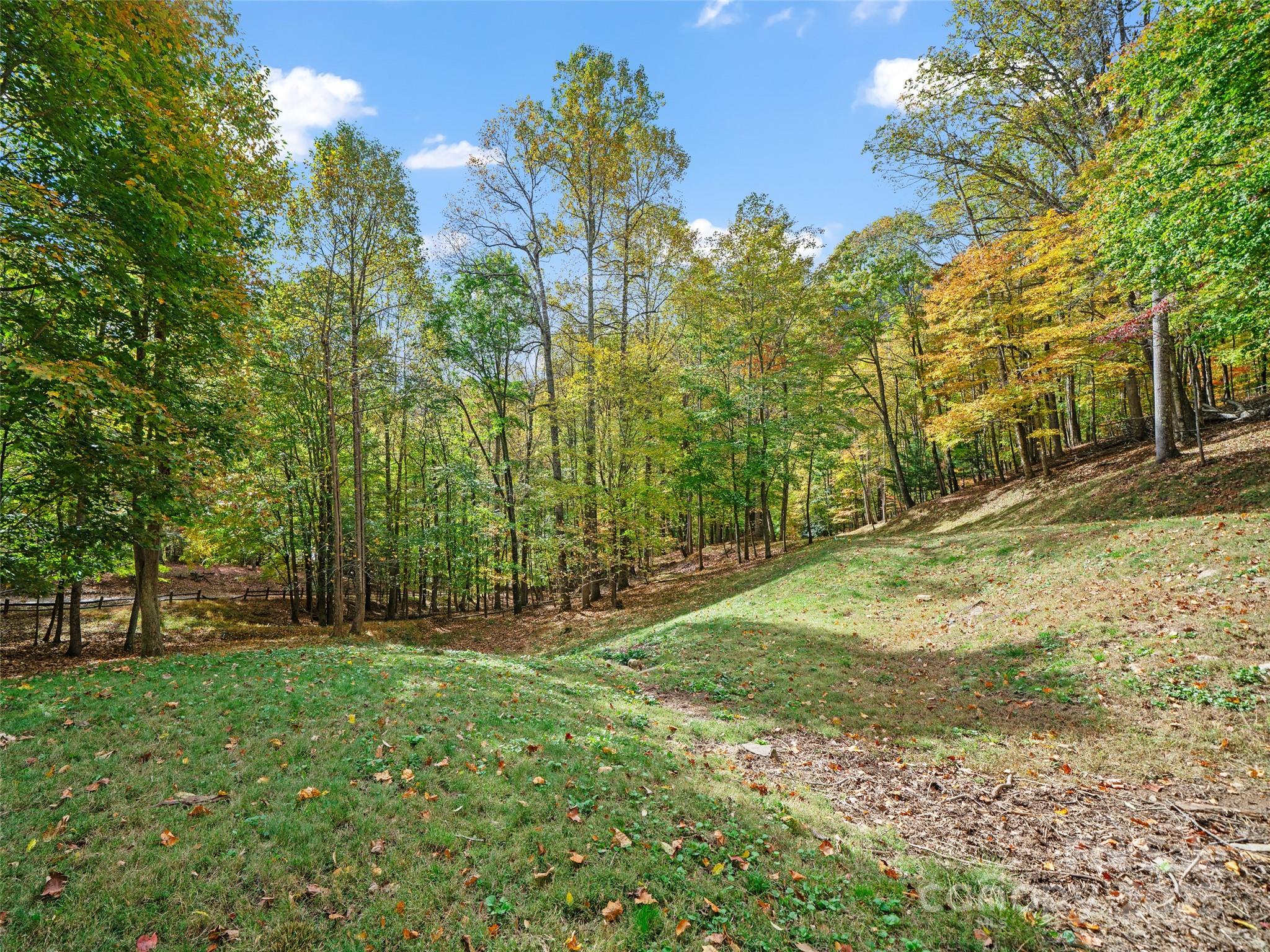 The Cove at Celo Mountain - Land