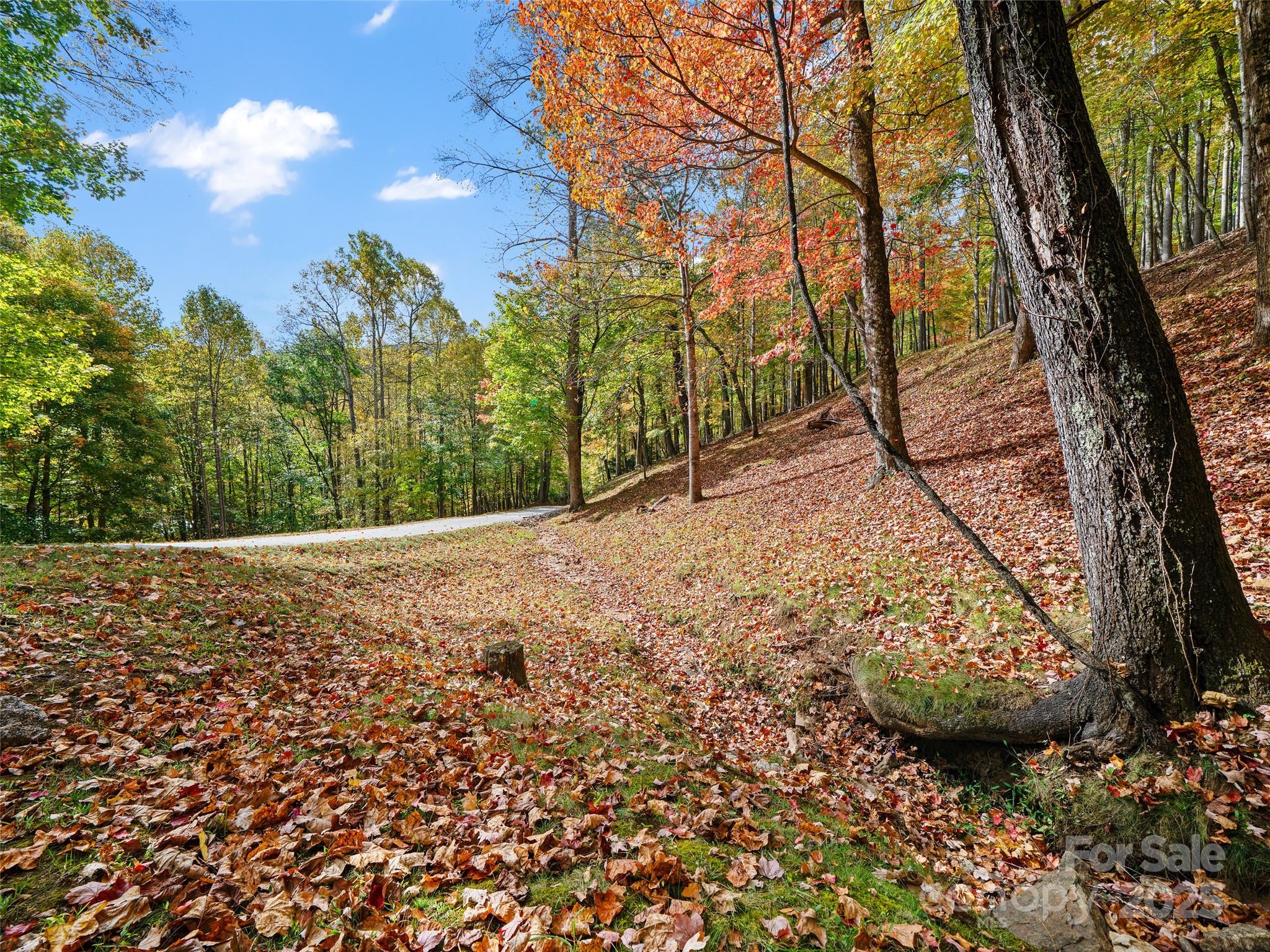 The Cove at Celo Mountain - Land