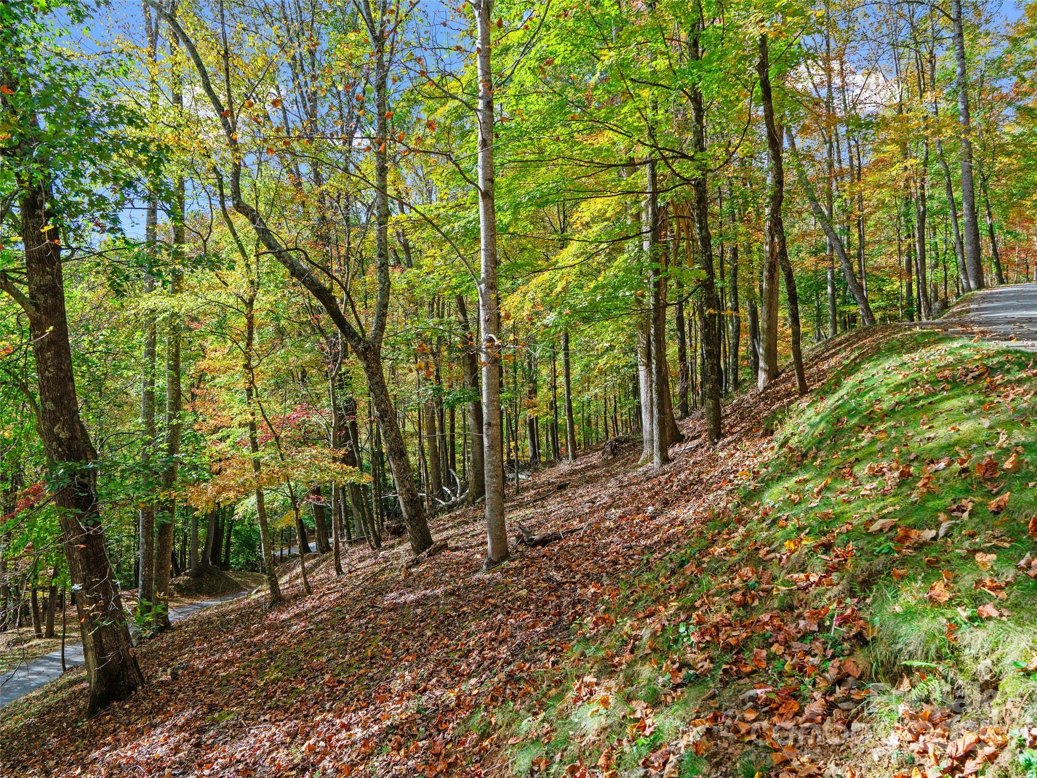 The Cove at Celo Mountain - Land