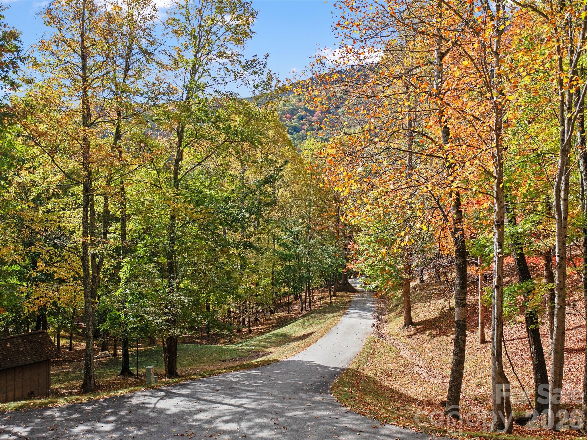 The Cove at Celo Mountain - Land