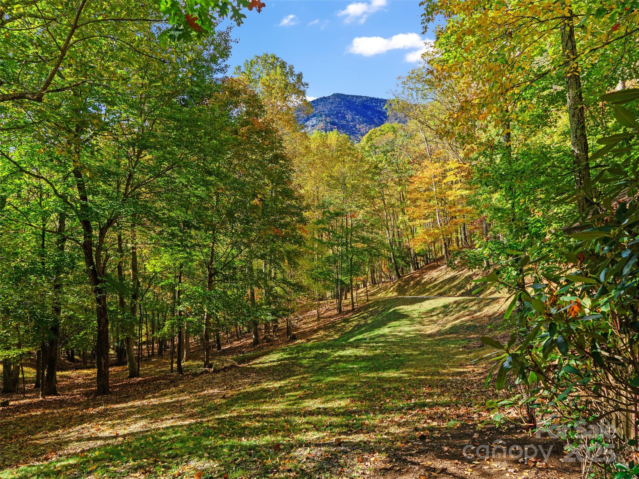 The Cove at Celo Mountain - Land