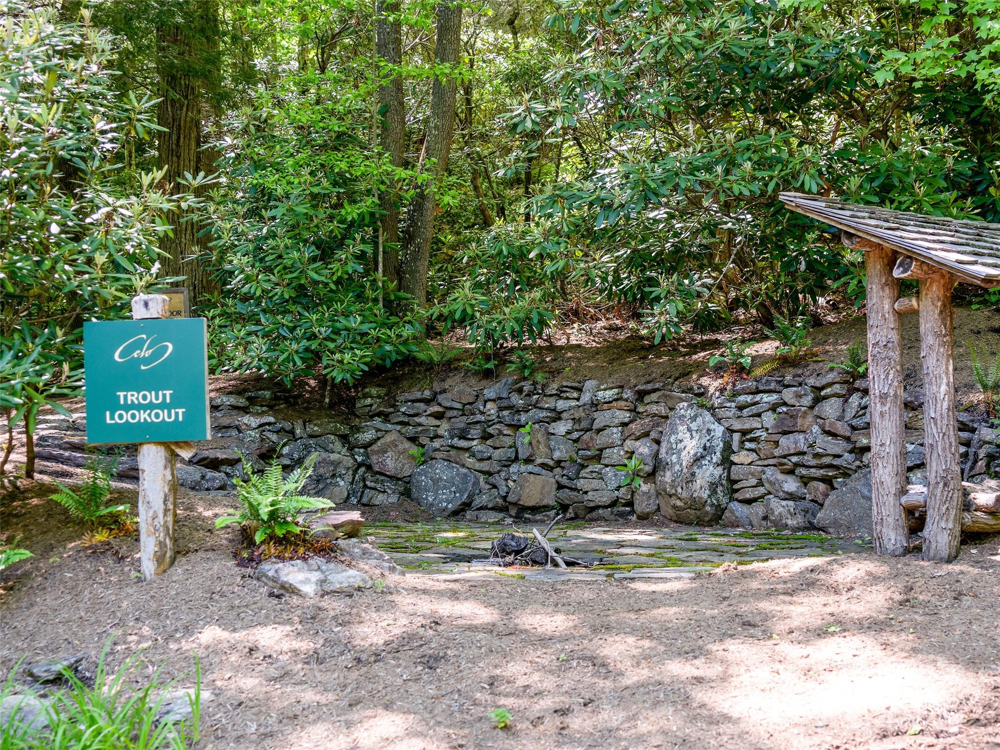 The Cove at Celo Mountain - Land