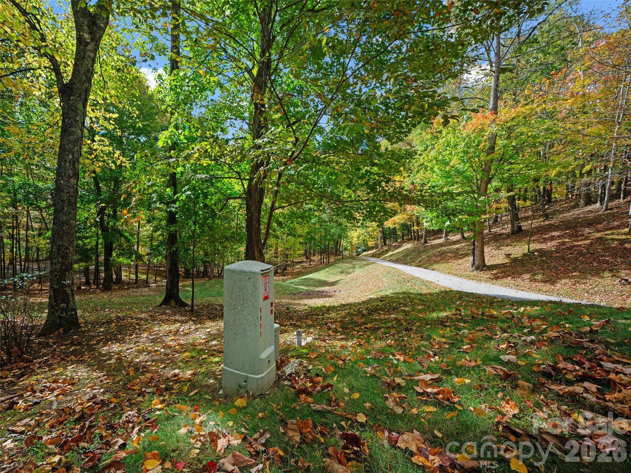 The Cove at Celo Mountain - Land