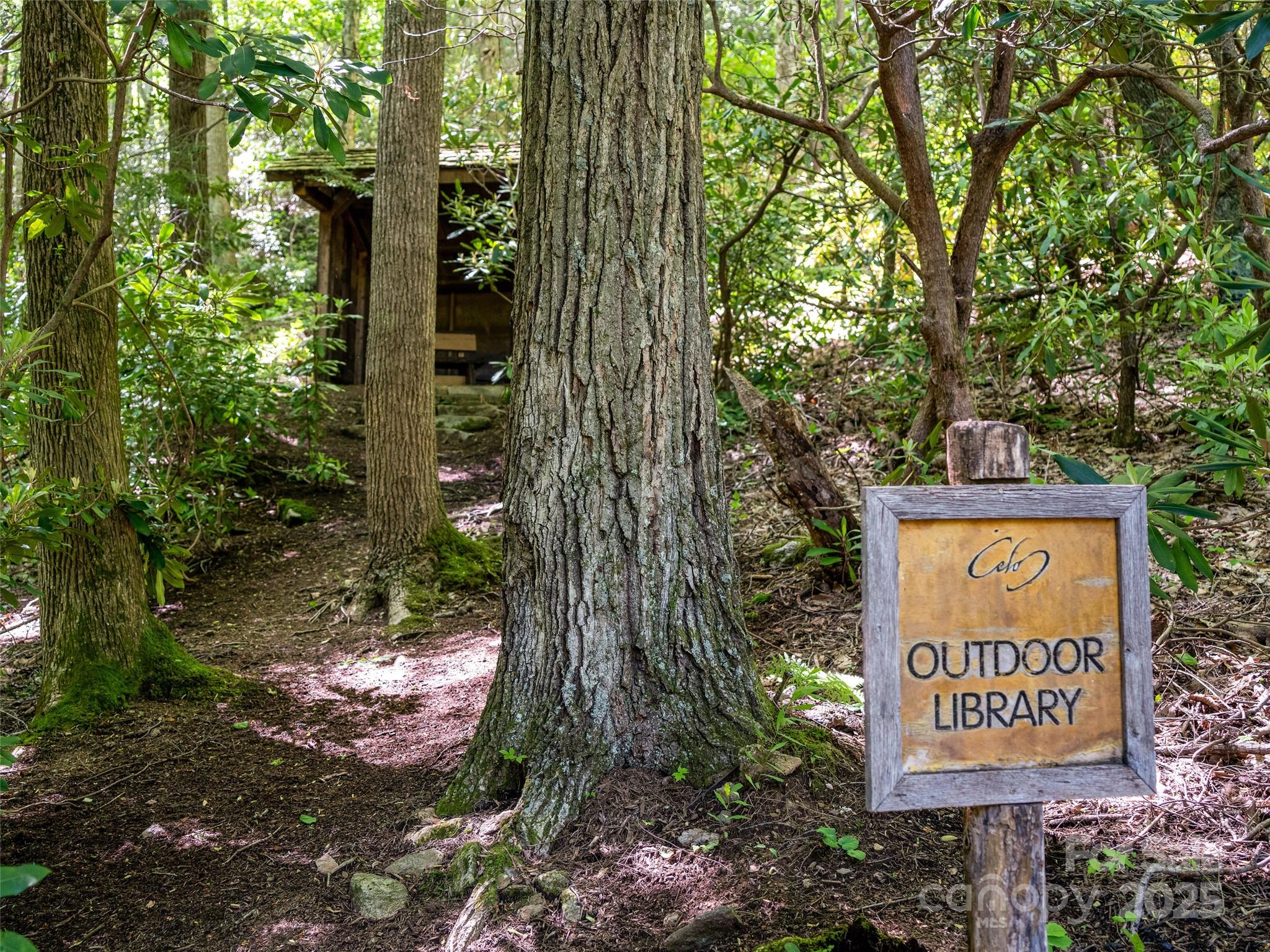 The Cove at Celo Mountain - Land