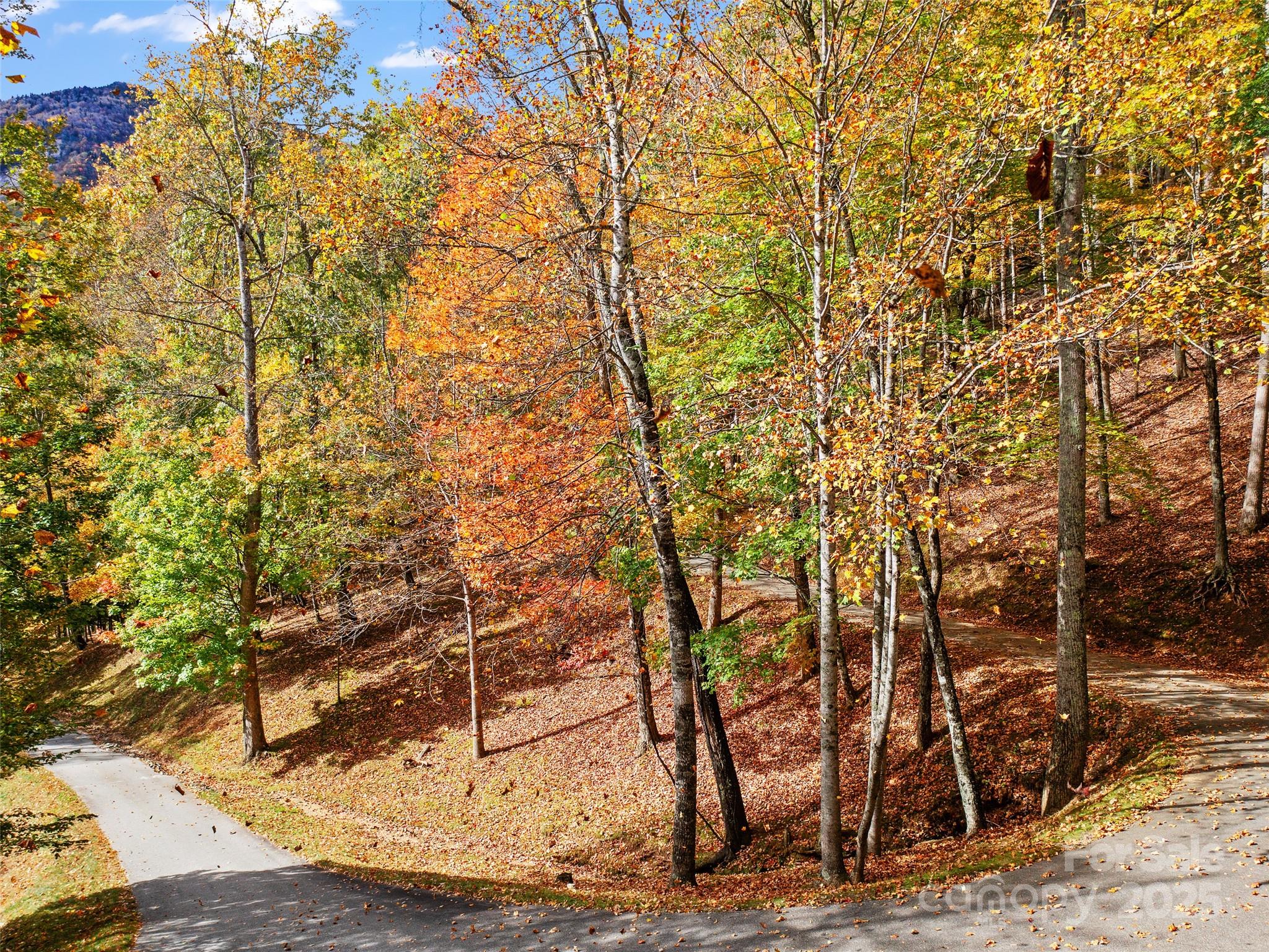 The Cove at Celo Mountain - Land