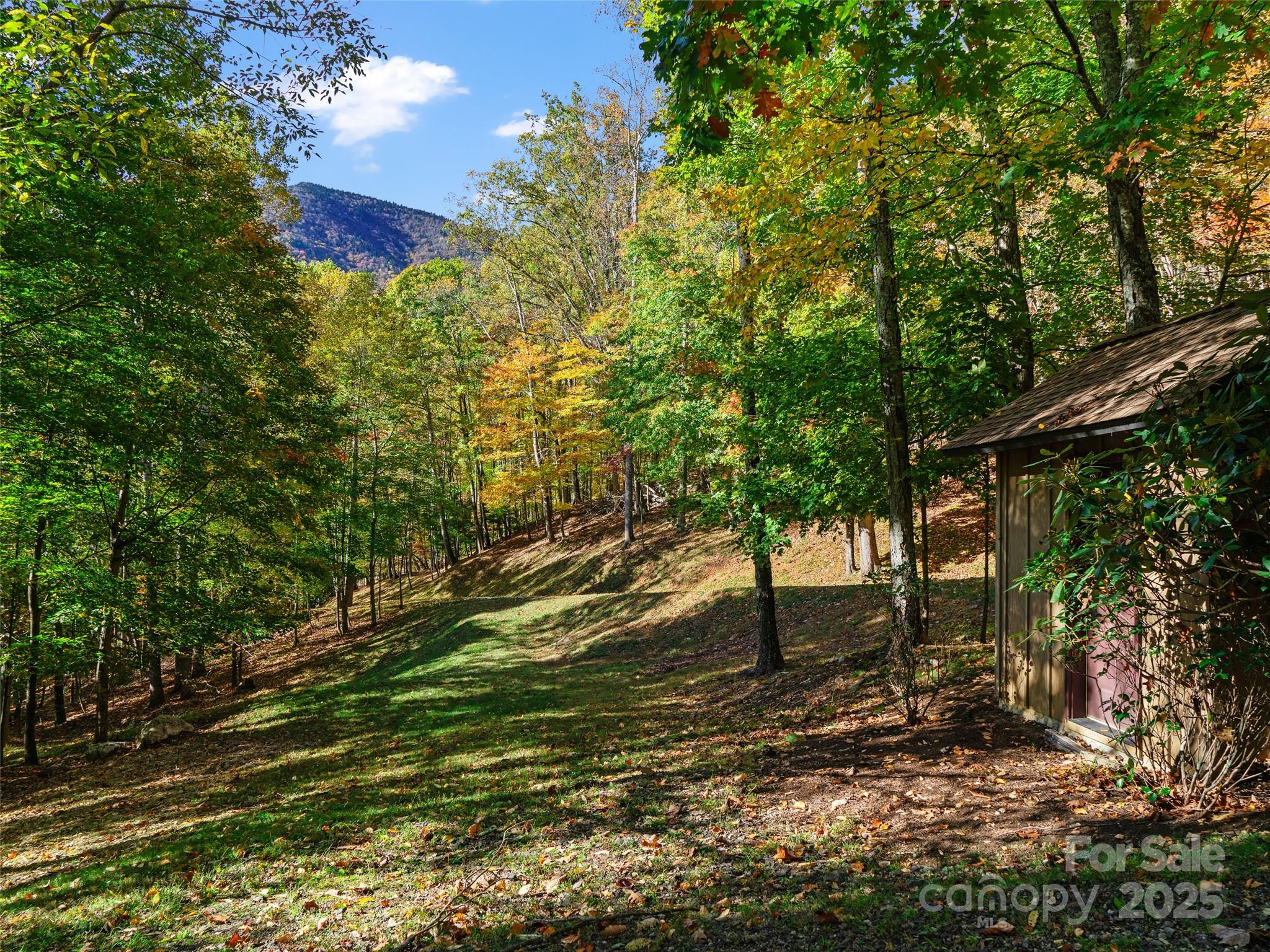 The Cove at Celo Mountain - Land