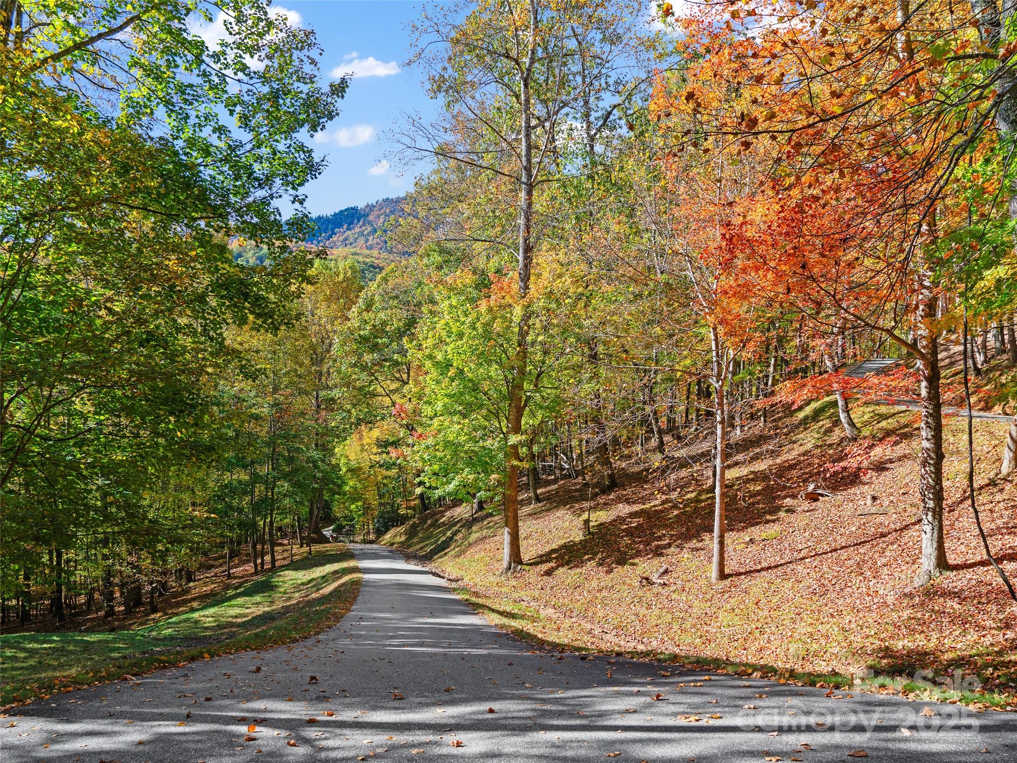 The Cove at Celo Mountain - Land