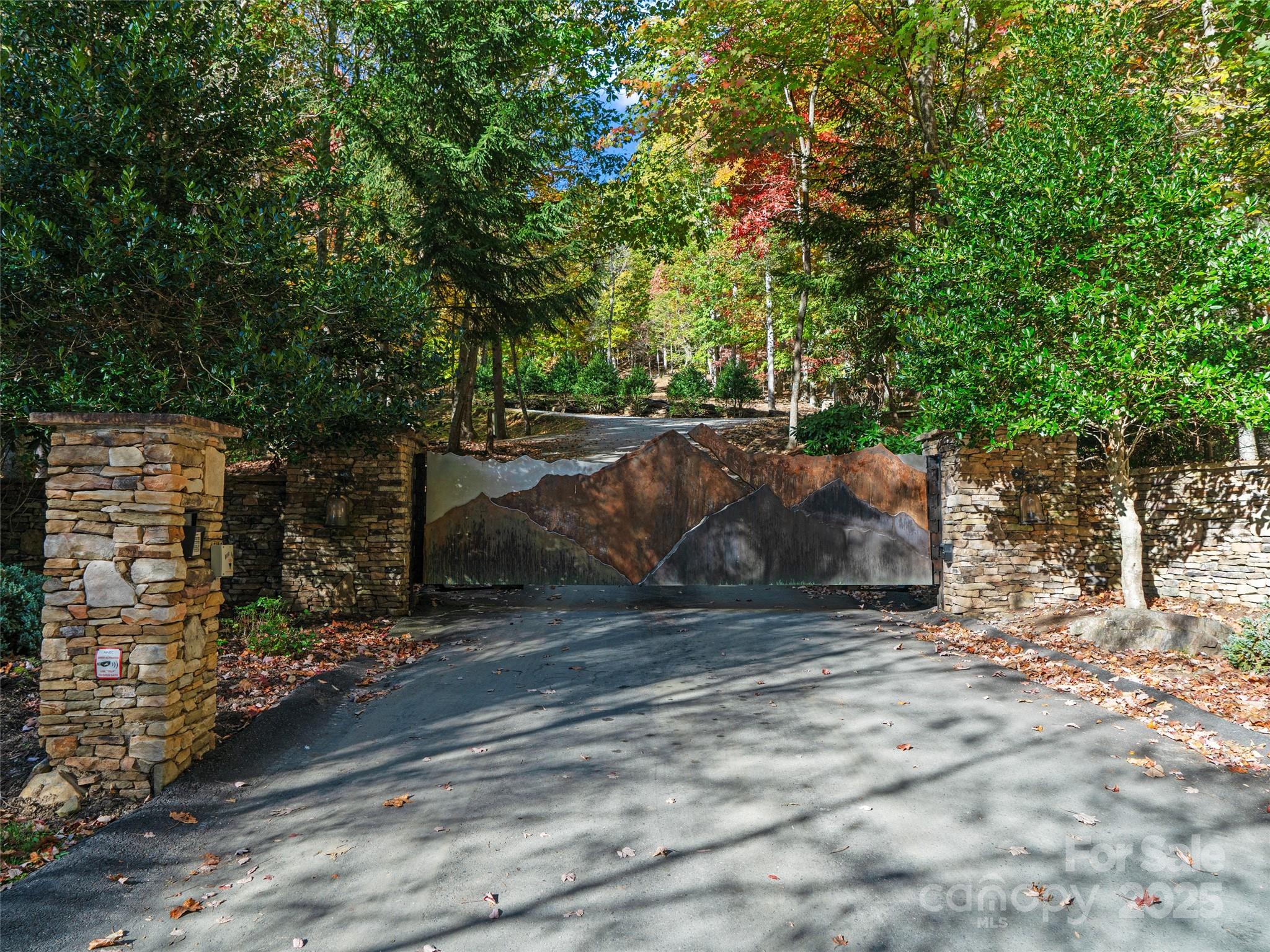 The Cove at Celo Mountain - Land