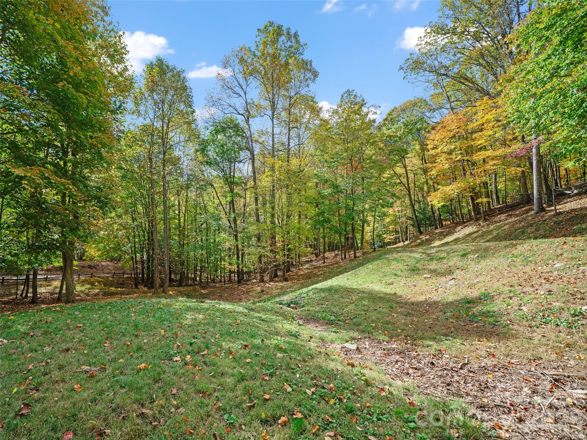The Cove at Celo Mountain - Land
