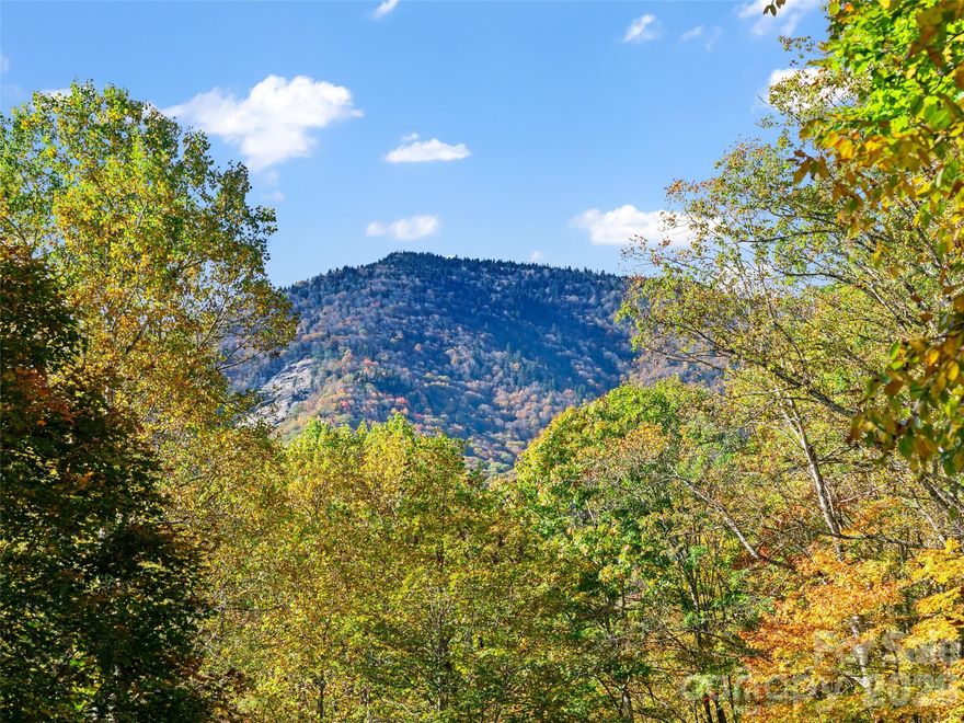 This 1.3-acre buildable lot sits at an elevation of approximately 3,000 feet, offering cool mountain breezes and serene surroundings, all just inside the locally art commissioned hand-forged entrance gate.  Lot 42 is rare in this subdivision due to it's accessibility and the very minimal clearing that would be needed to build.  Featured amenities at the Cove include hiking trails, waterfalls, creeks, pavilion picnic areas, fire pits, community garden, trout ponds, abundant wildlife, and meticulously kept grounds.  You create the build and everything around it will be kept pristine.  This truly is a remarkable and peaceful space, stop in and take a stroll through the neighborhood!

Burnsville is well known for their art community and galleries, downtown shops, local farmers' markets, while also being named one of Blue Ridge Outdoor Magazines Top Adventure Towns!  The Cove is located 15 minutes to Downtown Burnsville, 25 minutes to Black Mountain, 50 minutes to Asheville, within close proximity to Mount Mitchell and the Blue Ridge Parkway.