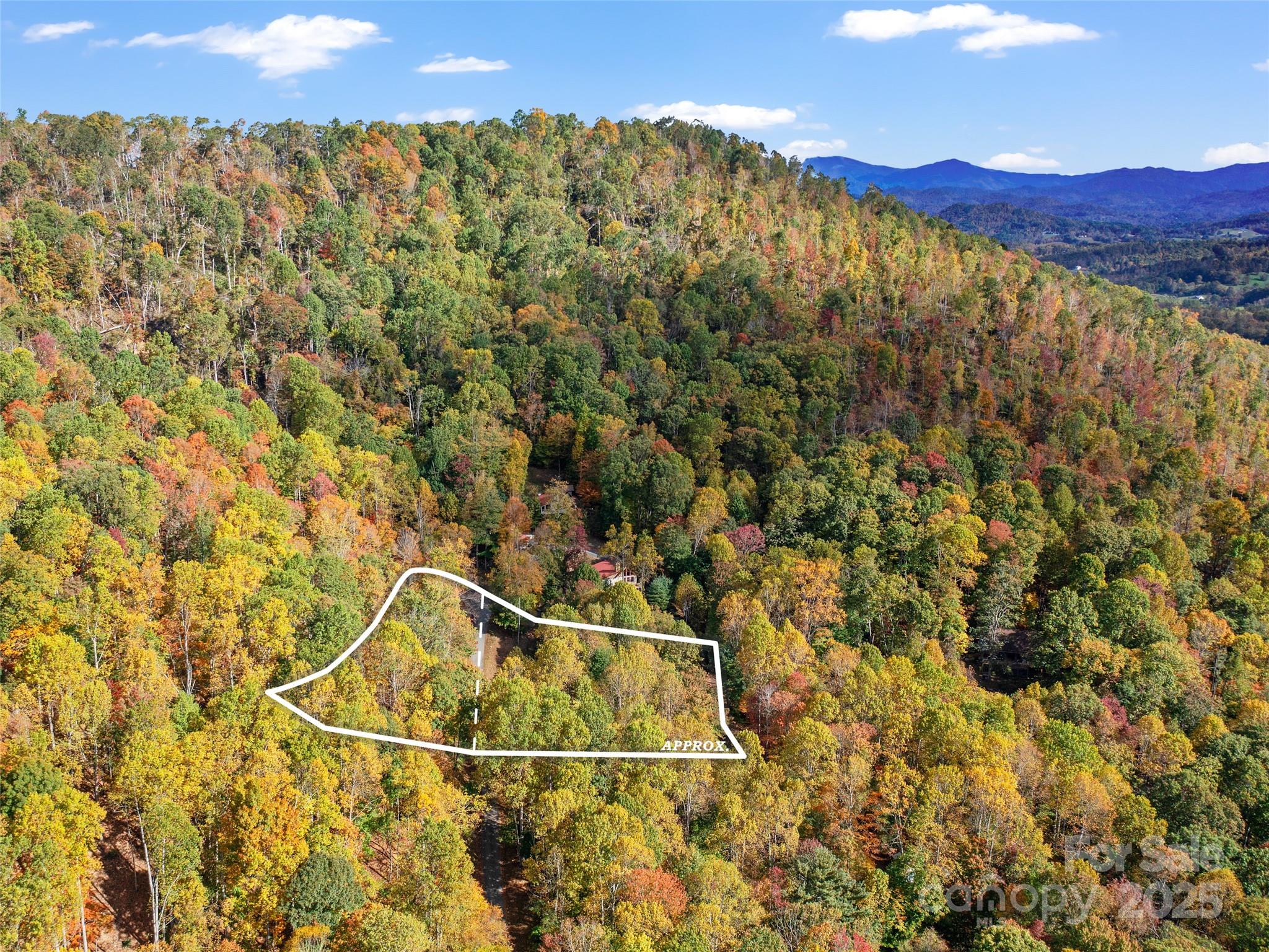 The Cove at Celo Mountain - Land