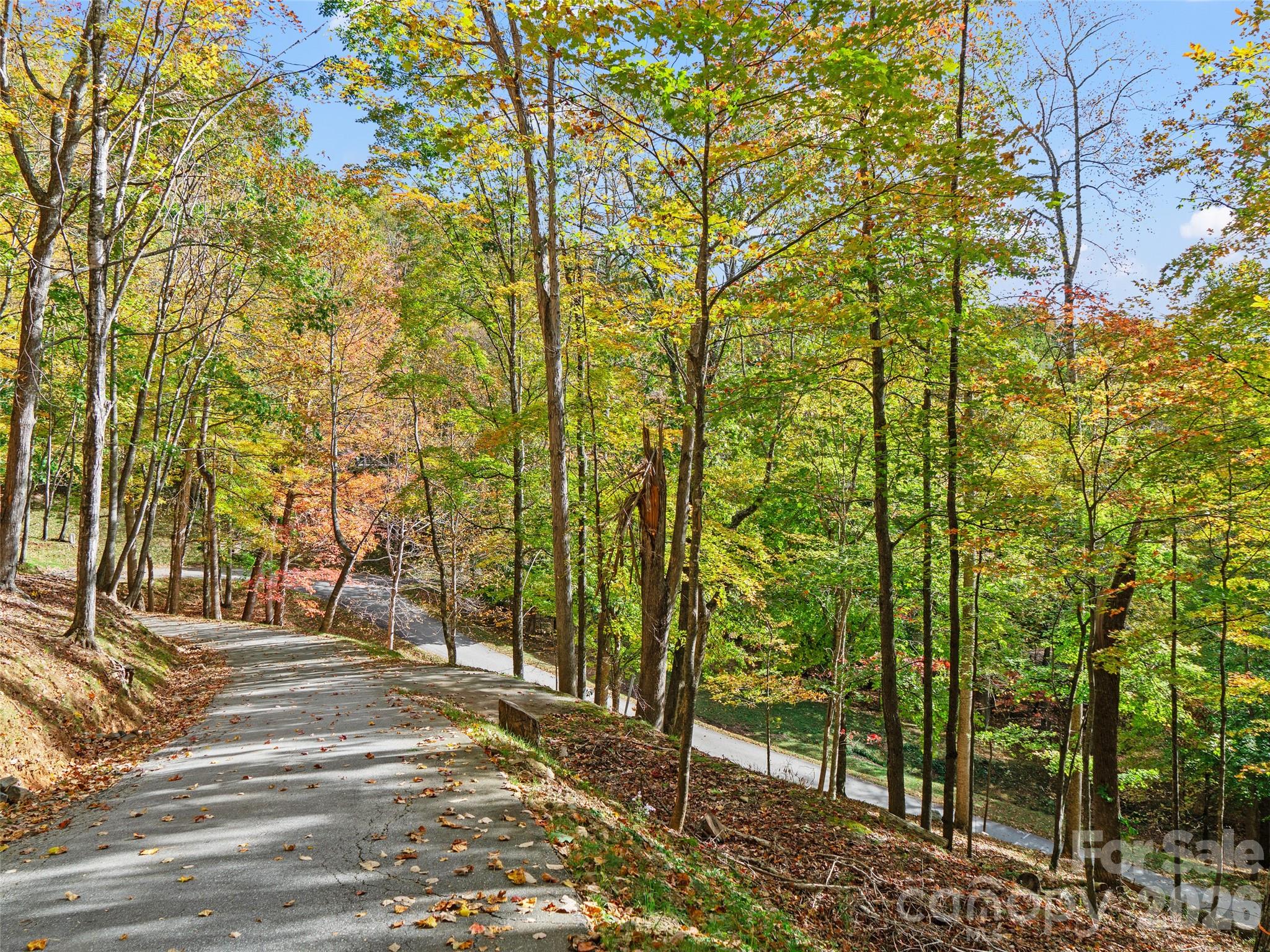 The Cove at Celo Mountain - Land