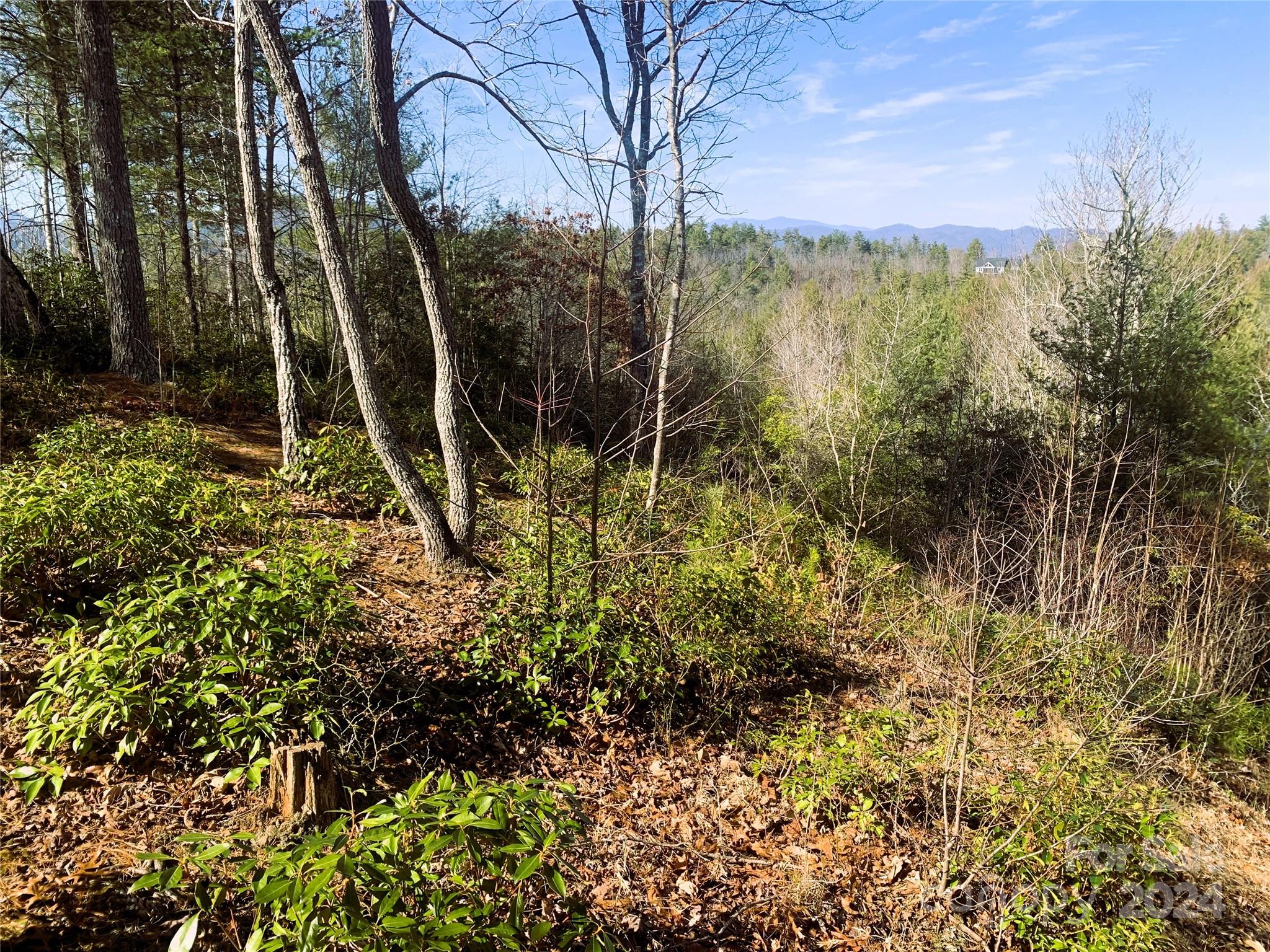 1.48 acres, Lot 370 Table View Lane 370