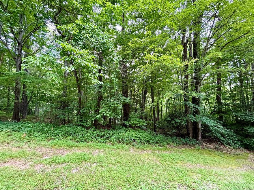Wooded lot in area of nice homes, One of the few lots left in The Ledges of Hidden Hills.  Possibility for a daylight basement.  Convenient to Fletcher, Arden and I-26.