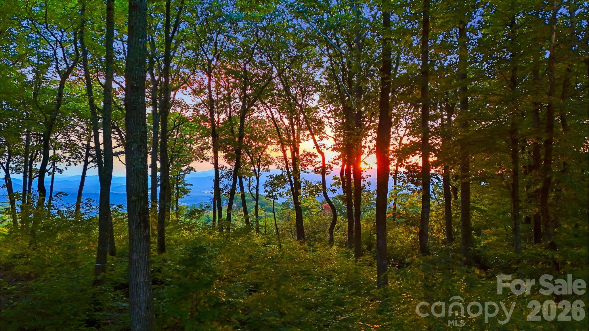 0 Mountain Grove Lane Lot 68