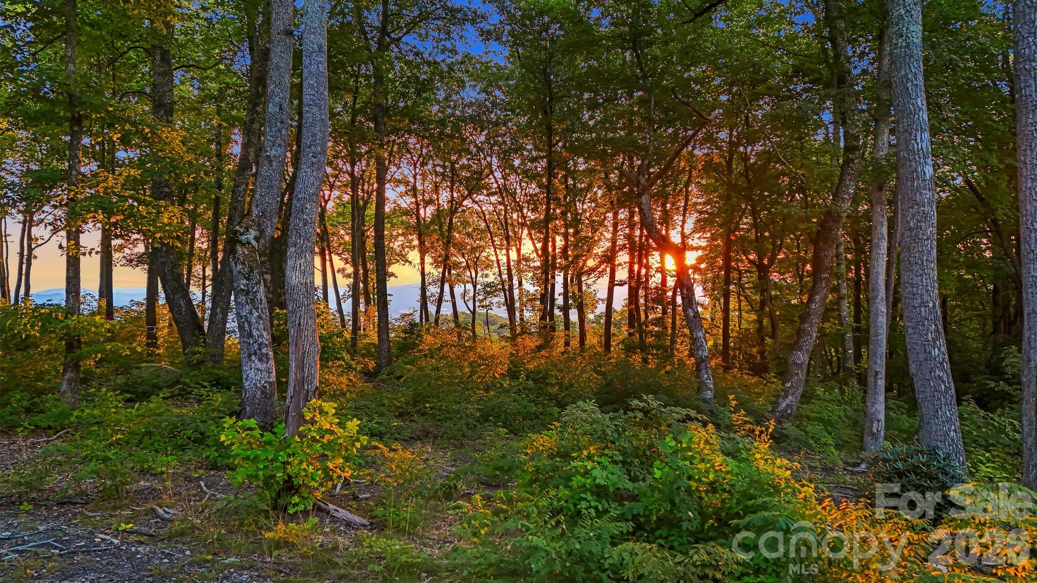 0 Mountain Grove Lane Lot 68
