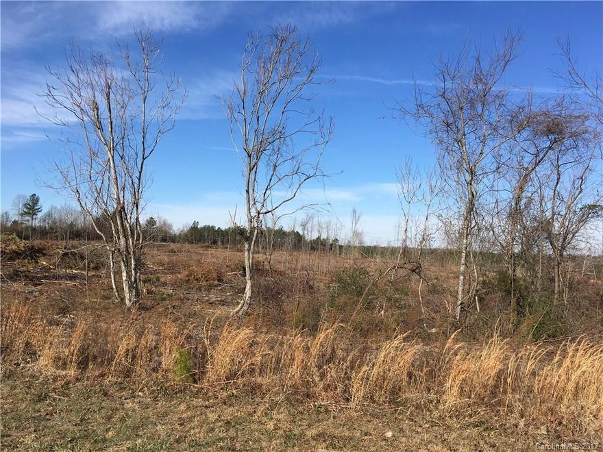 Approximately 17 acres in North Lincoln! Come build your dream home with room to roam or build a whole subdivision.