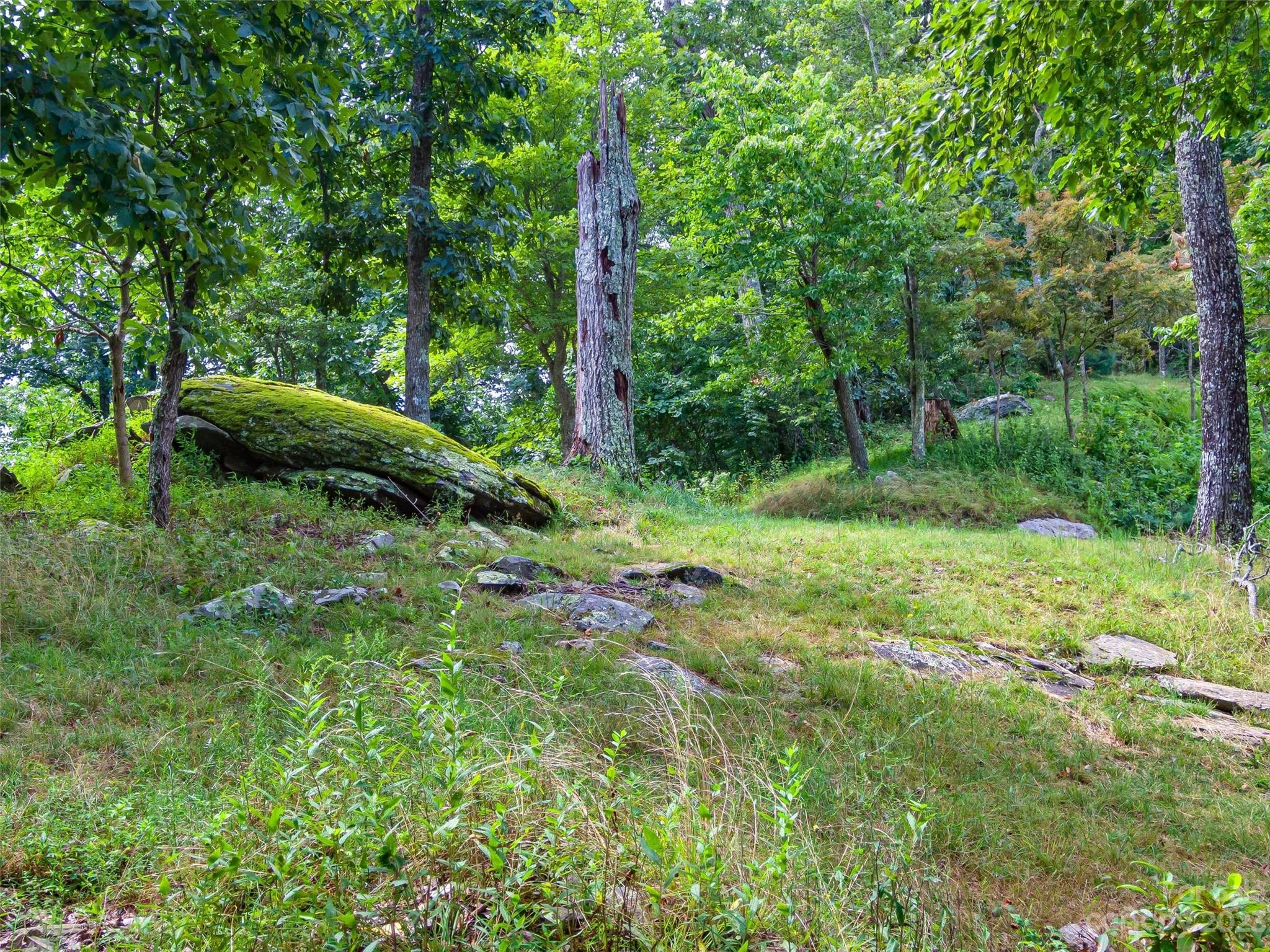 The Cliffs At Walnut Cove - Land