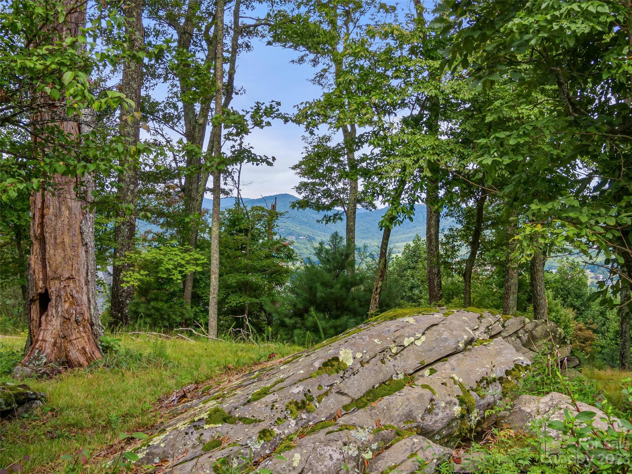 The Cliffs At Walnut Cove - Land