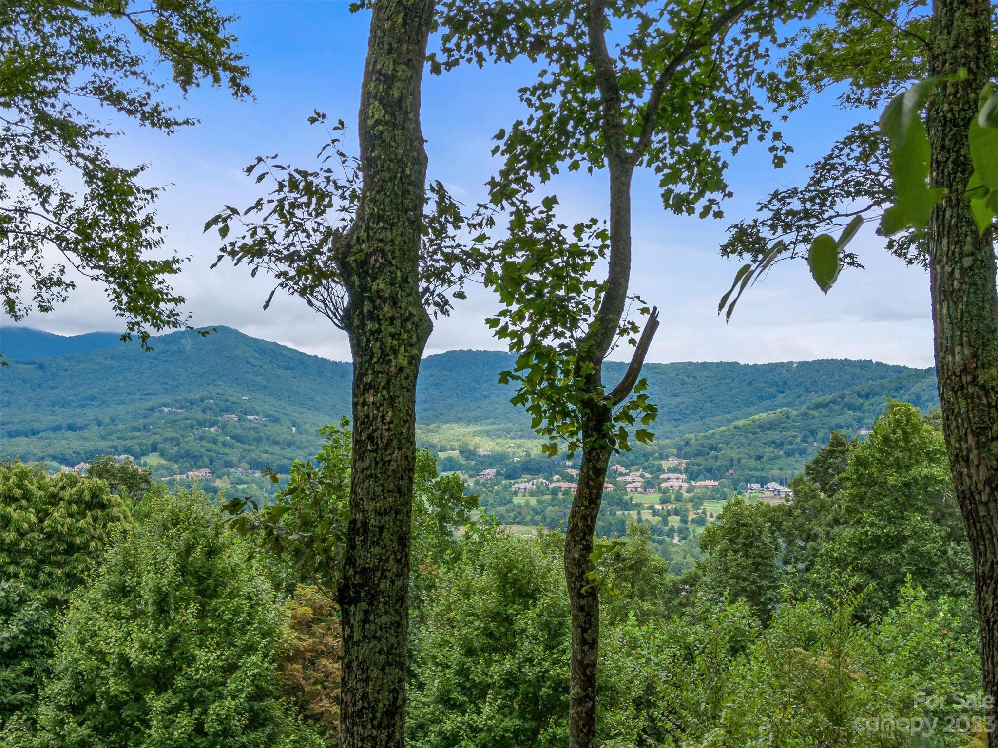 The Cliffs At Walnut Cove - Land