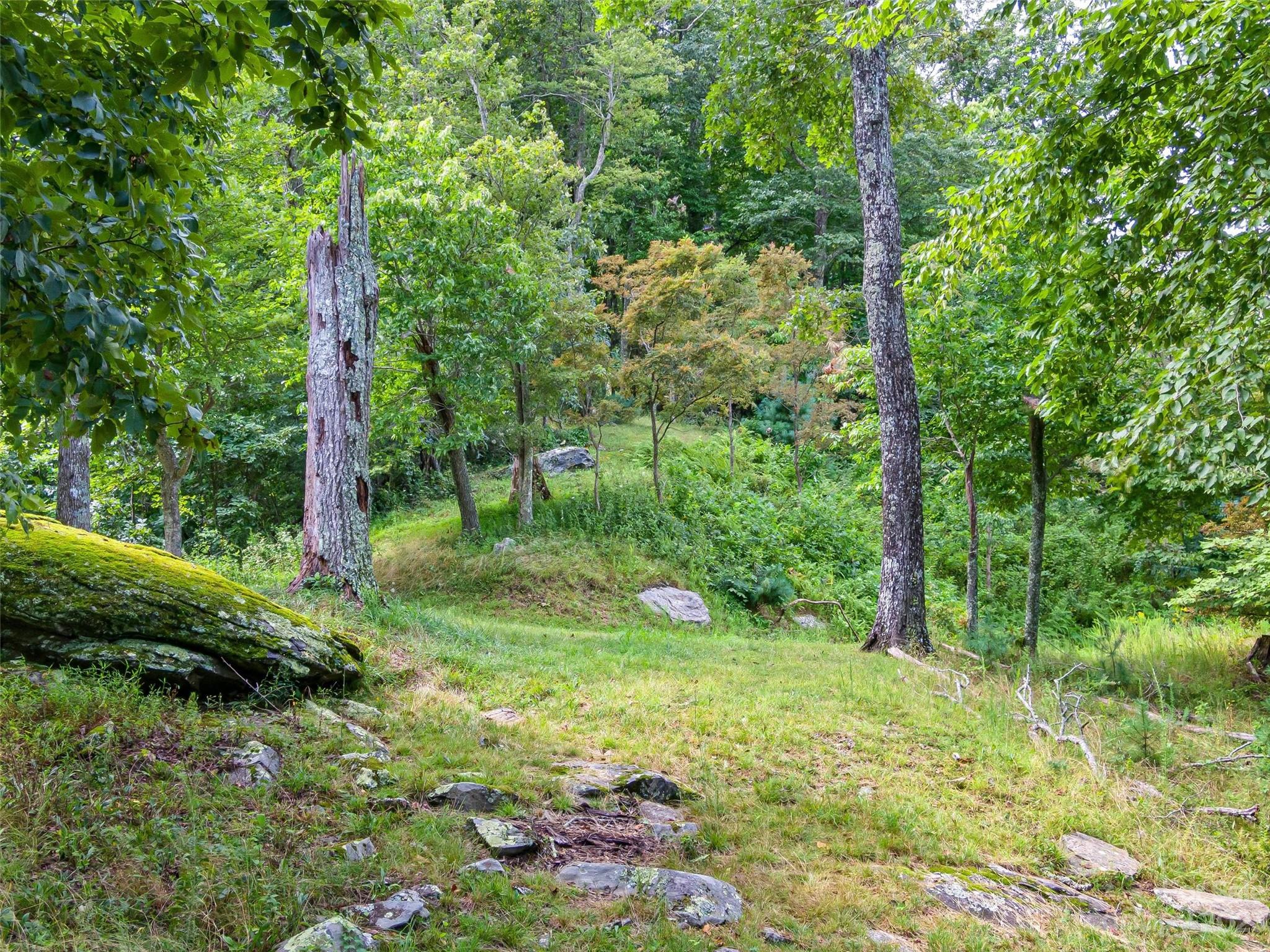 The Cliffs At Walnut Cove - Land