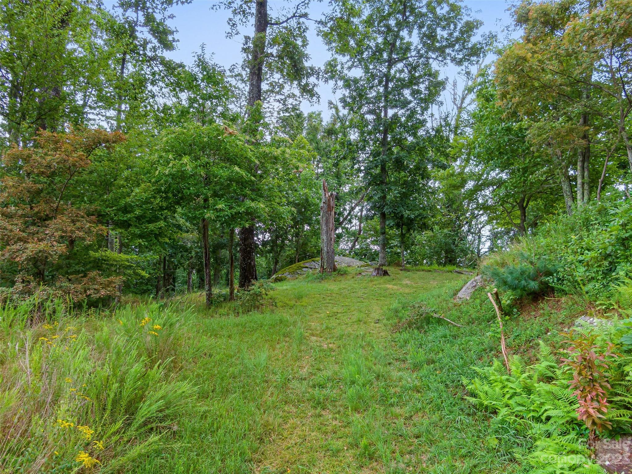 The Cliffs At Walnut Cove - Land