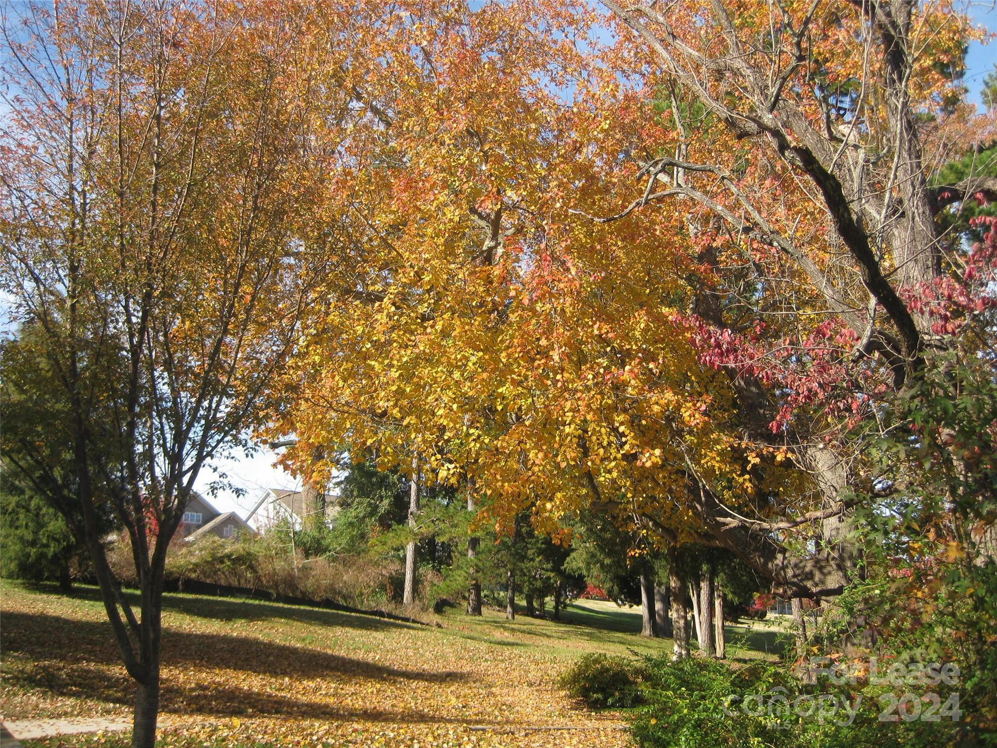 Monteith Park - Residential Lease