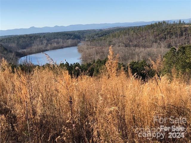 Lake Rhodhiss Estates - Land