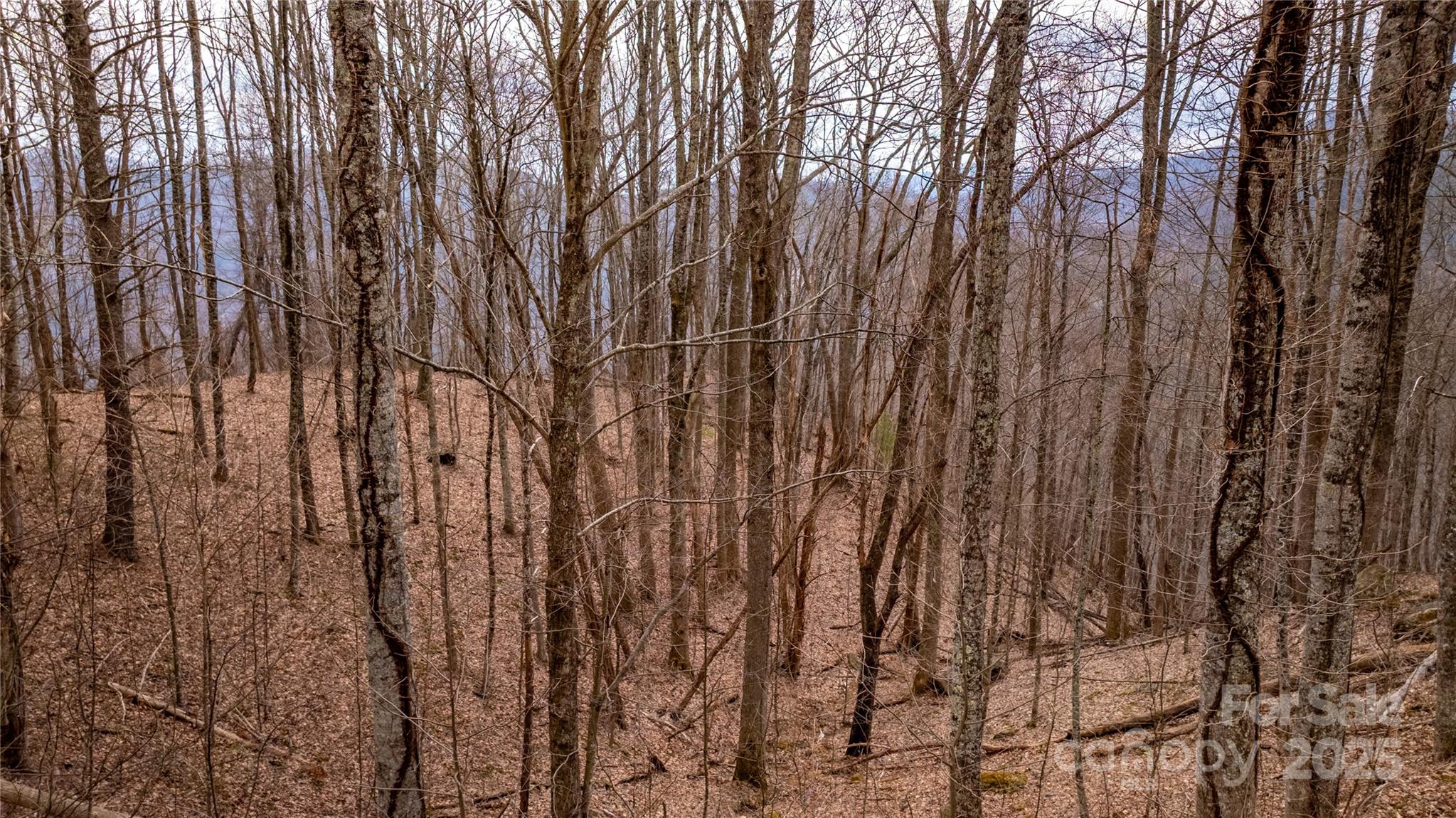 The Preserve at Little Pine - Land