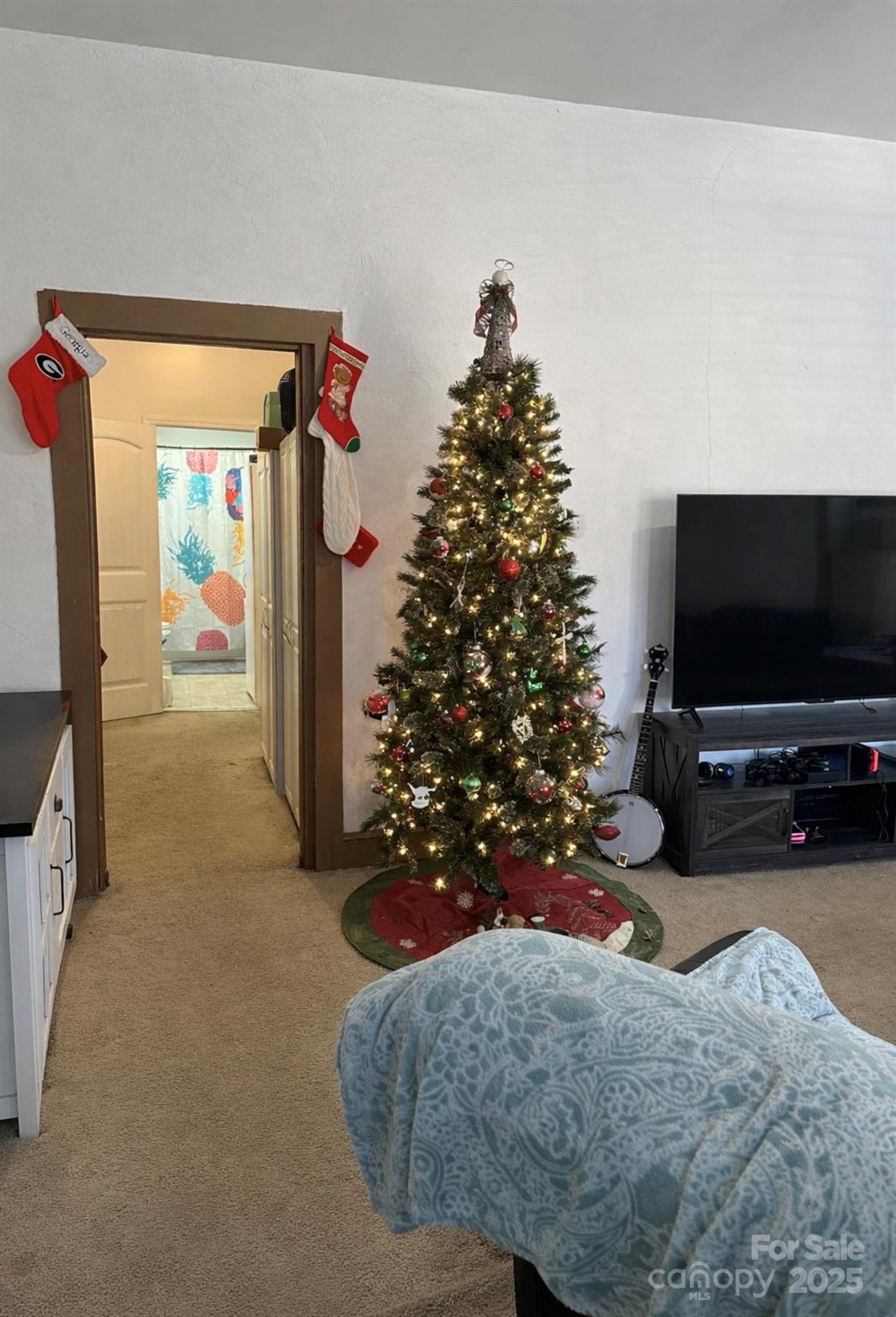 220 E Catawba Avenue