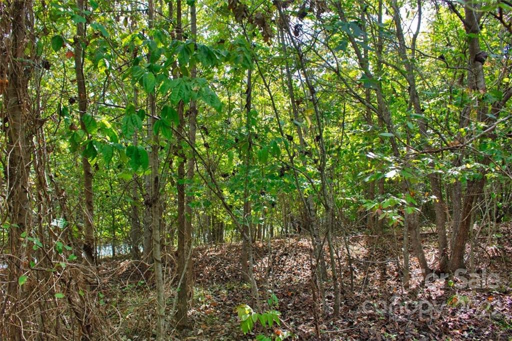 0 Chimney Creek Lane 194