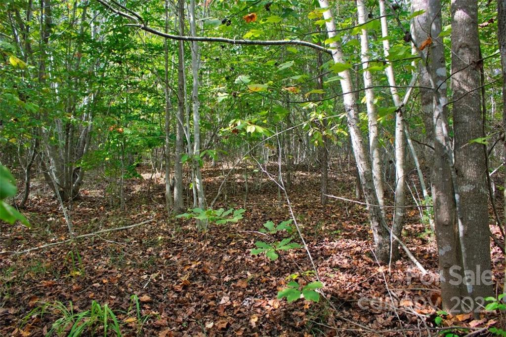 0 Chimney Creek Lane 194