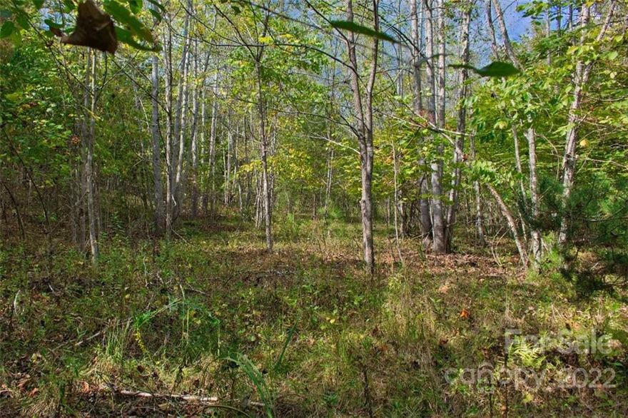 This wooded parcel rises up from the road, but has easy, level access. It's square in shape and the east portion features a large, near-level building site with a gentle slope up.
That near-level area is just one potential build site. There are actually two or three good locations on this land to choose from.
The land features a wide 'valley', which would be an excellent place to garden, and its canopy of mostly hardwoods ensure only light vegetation and underbrush. Build your home to enhance and enjoy the private, natural surroundings - gentle topography, clean air, deer trails, the breeze rustling through the ever-changing leaves - you get the picture!
