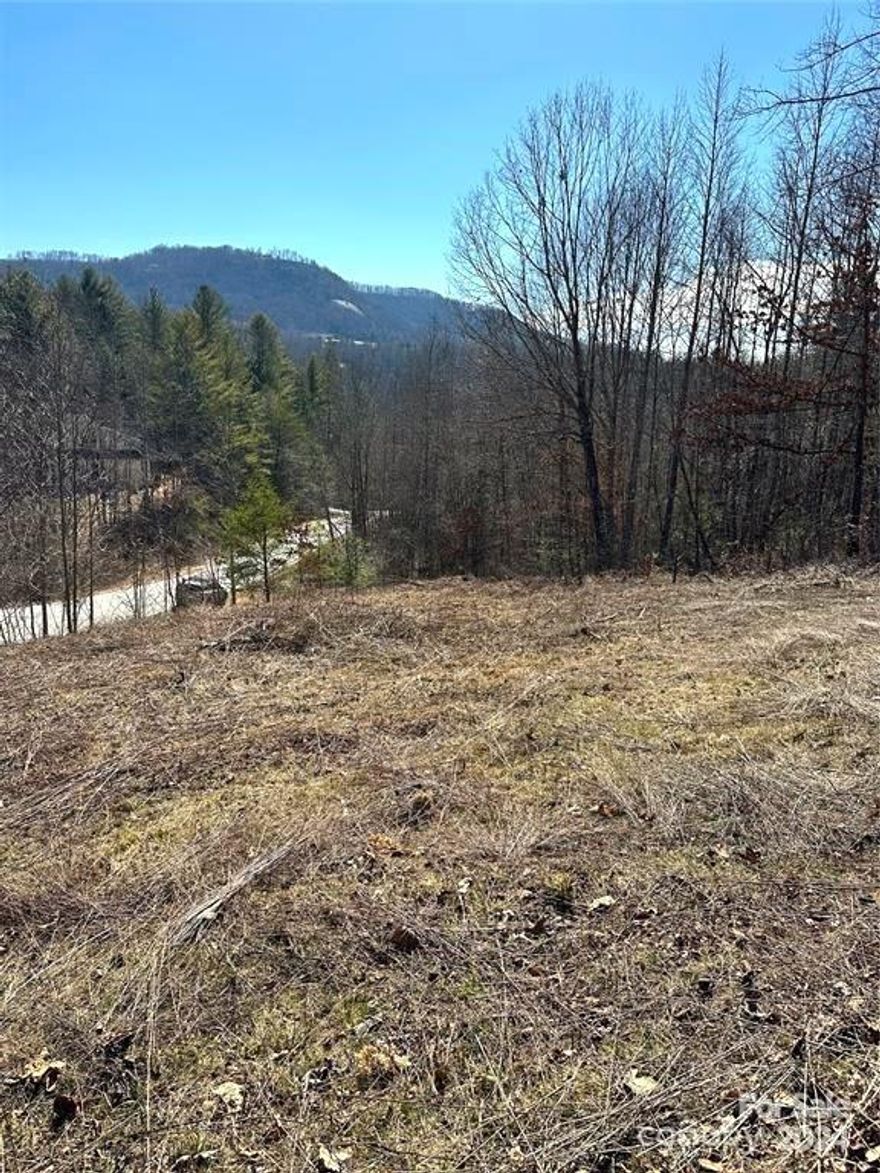 Come build your dream home nestled in the mountains! This beautiful, wooded lot is located in the blooming gated community of Old Orchard. This is a sloping piece of property offering mountain views. 
The community of Old Orchard is peaceful and tranquil, offering residents private access to a clubhouse, outdoor pool, hot tub, common area, creek and picnic areas. 
This neighborhood is conveniently located between Hendersonville and Lake Lure / Chimney Rock, and just minutes from I-26. Four Bedroom Septic Permit on file from 2006.