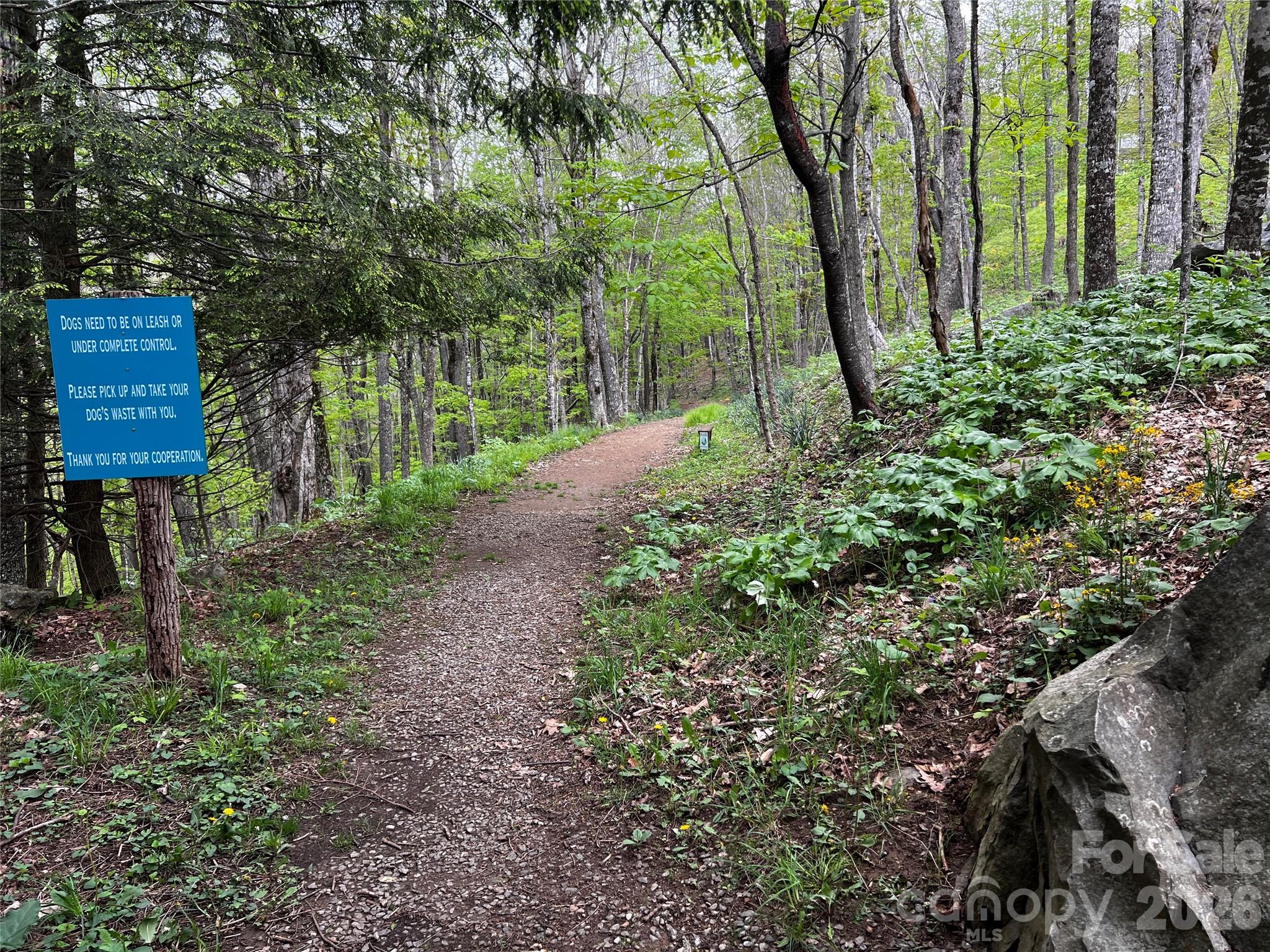 The Preserve at Wolf Laurel - Land